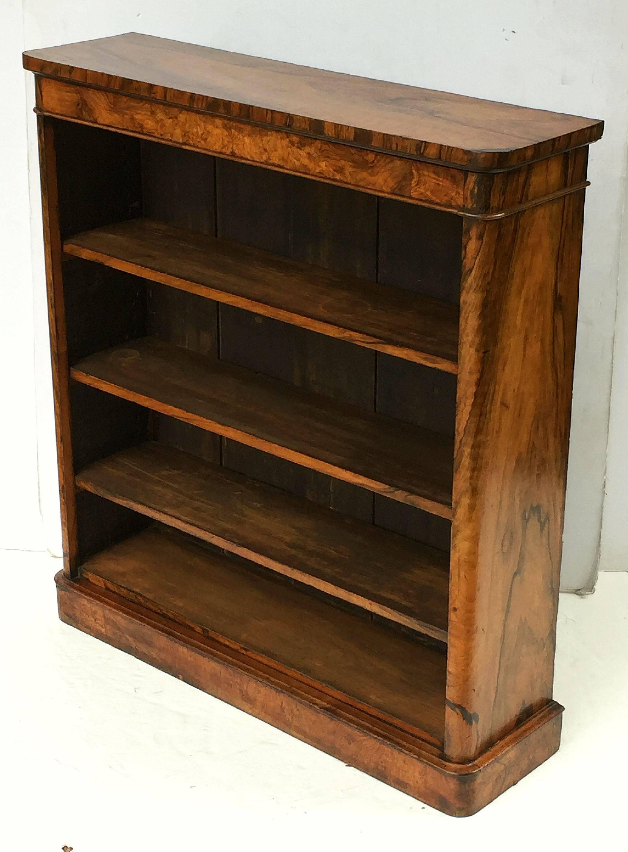 A fine English open bookcase of figured burr walnut featuring a moulded top over a frieze of three adjustable shelves and a plinth base.