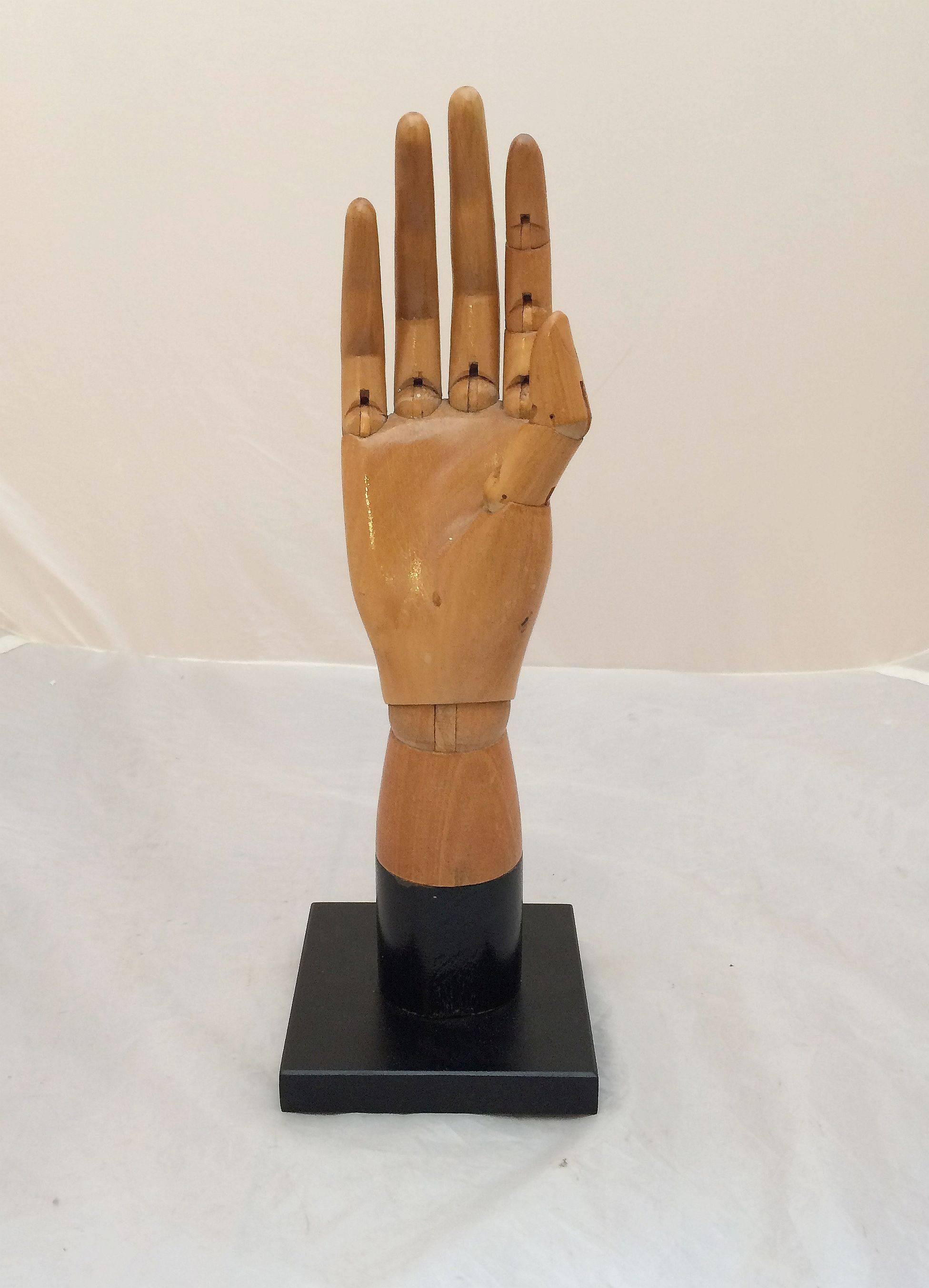 English Articulated Model of Hand from England