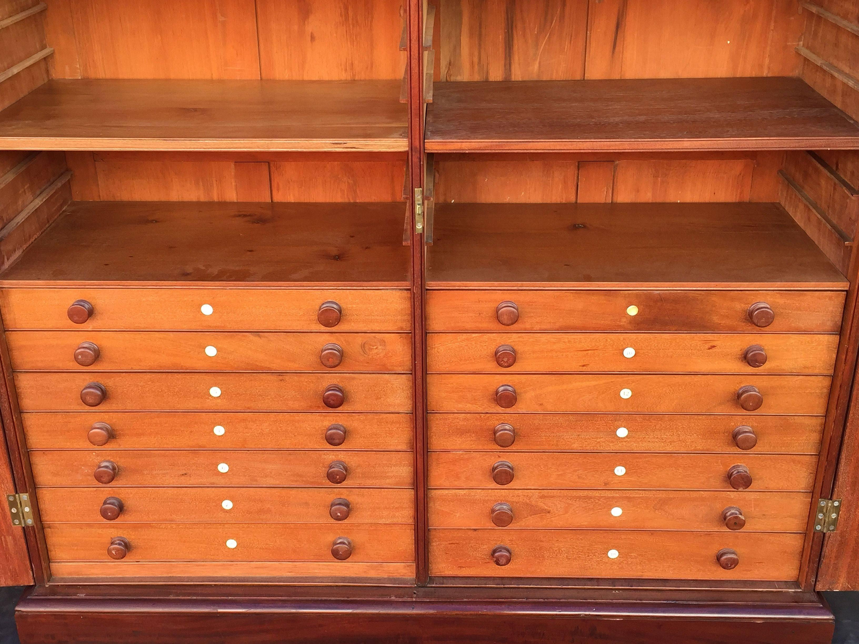 Estate Compendium or Collector's Cabinet of Mahogany from England For Sale 1