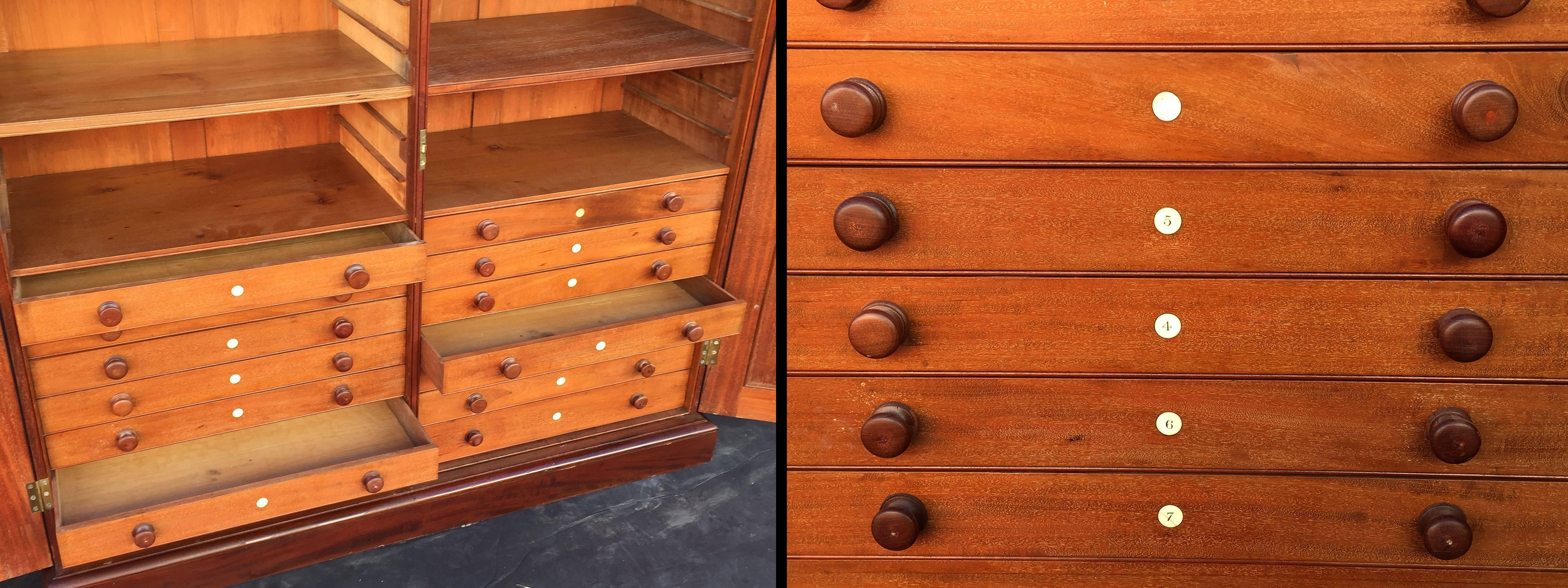 Estate Compendium or Collector's Cabinet of Mahogany from England For Sale 4
