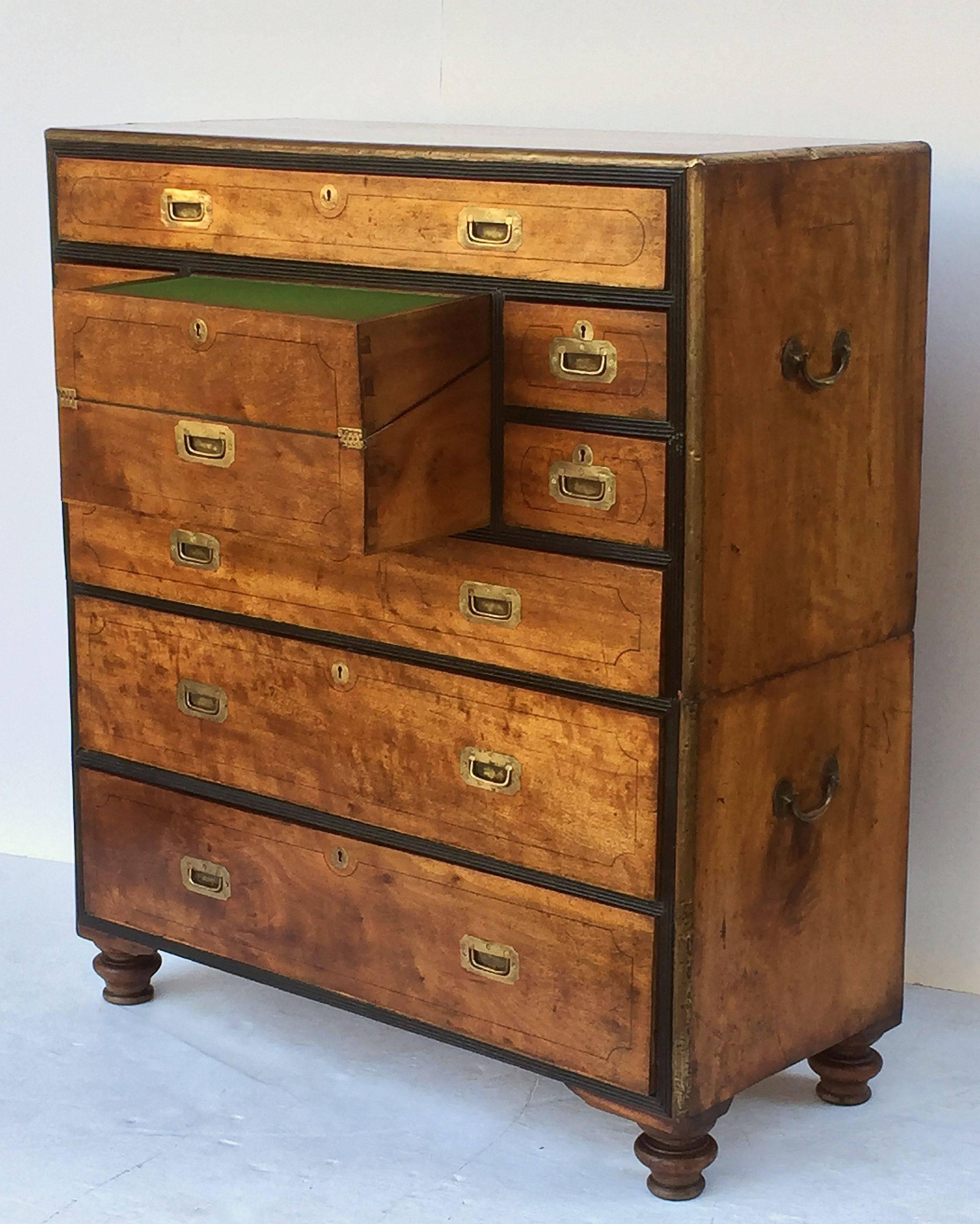 Ebonized British Military Officer's Campaign Chest Secretary of Brass-Bound Camphor Wood