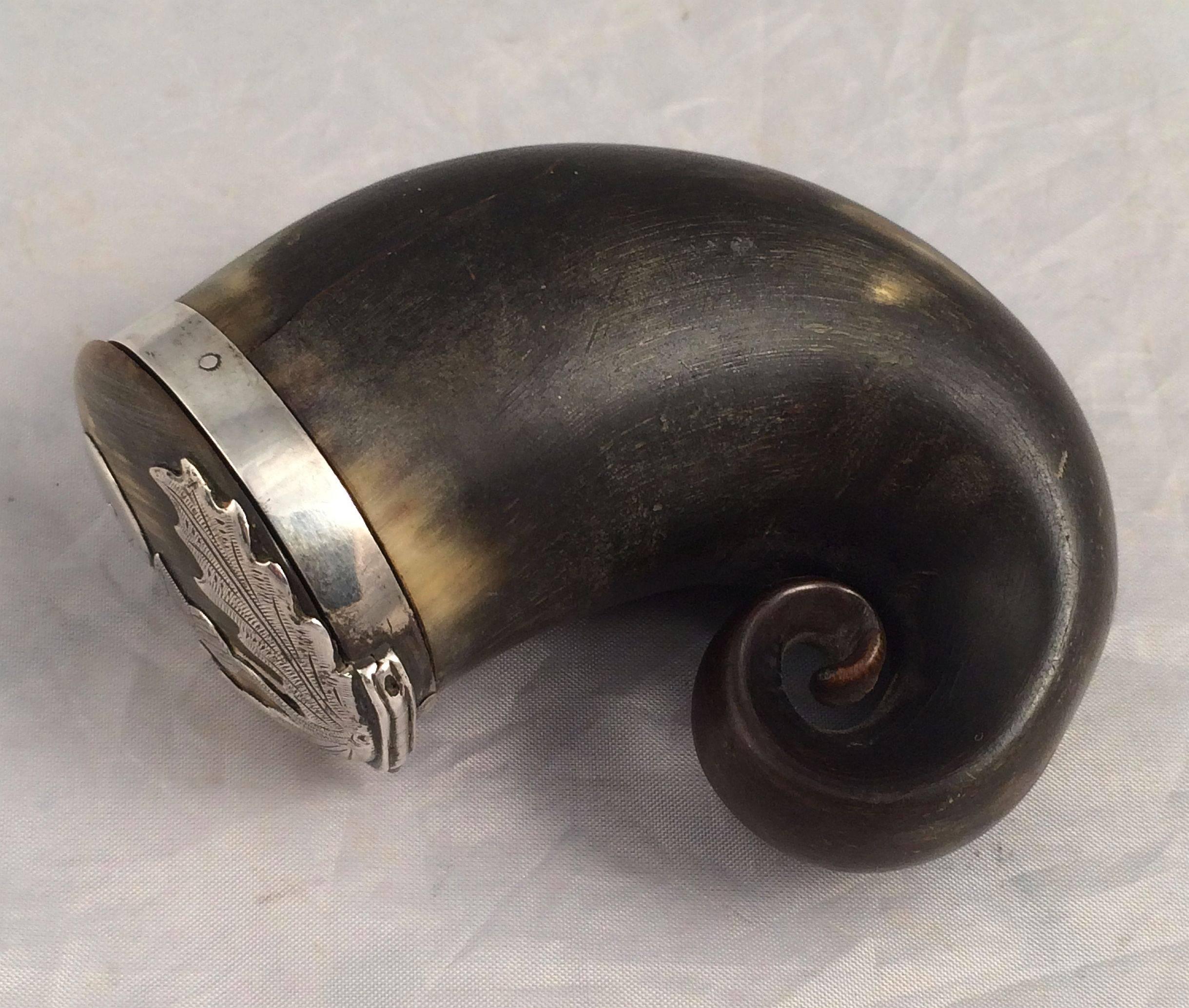 Scottish Horn Snuff Mull from the Georgian Era In Excellent Condition In Austin, TX