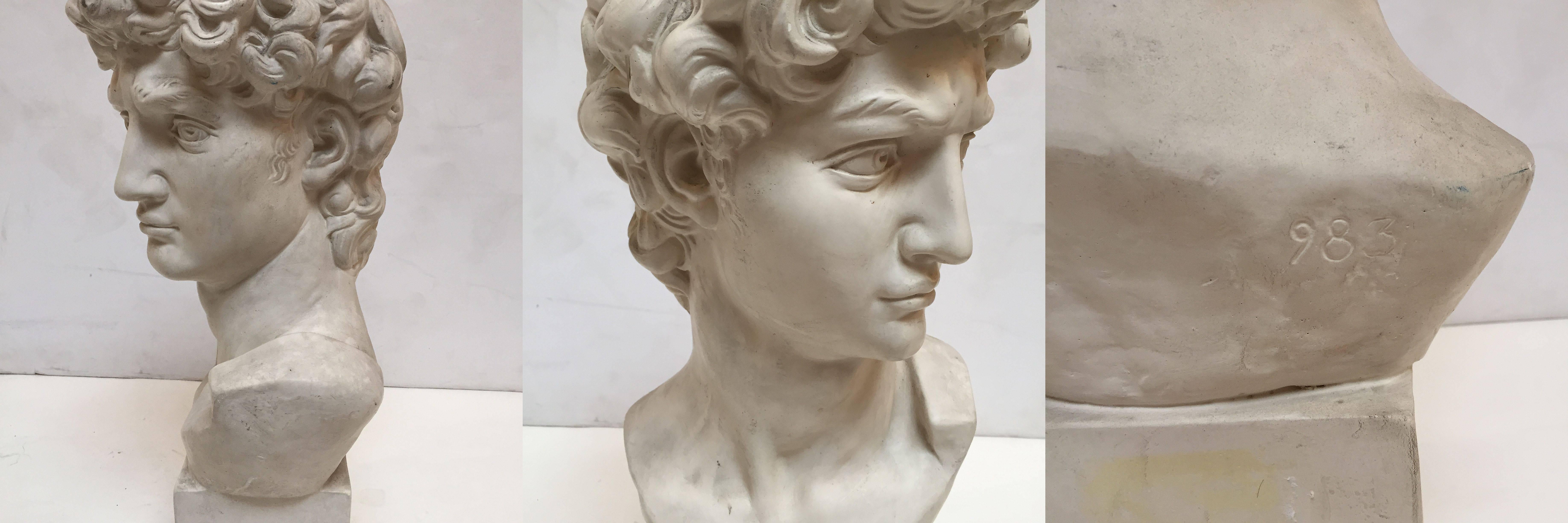 English Plaster Bust of Michelangelo's David 2