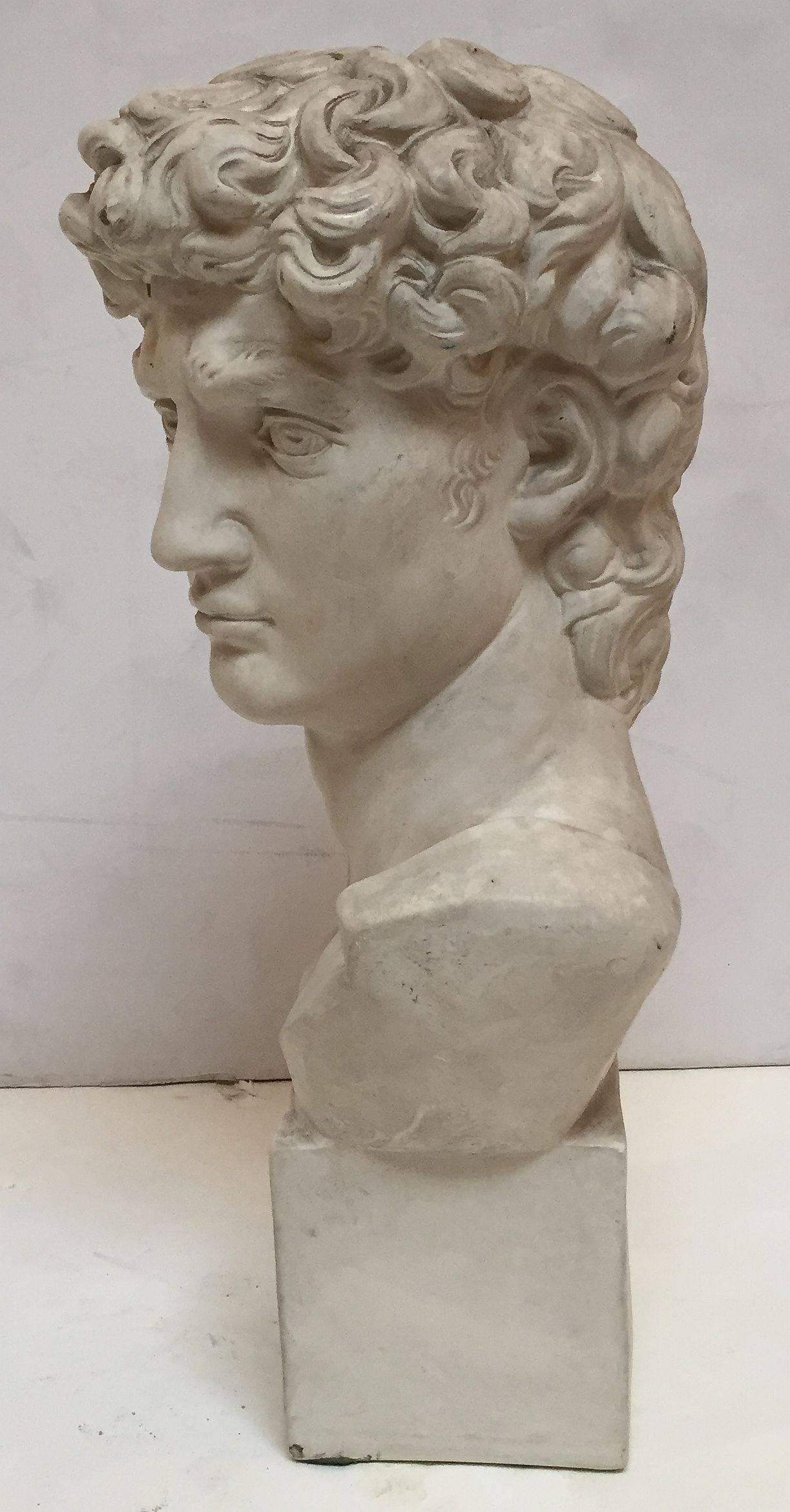 20th Century English Plaster Bust of Michelangelo's David