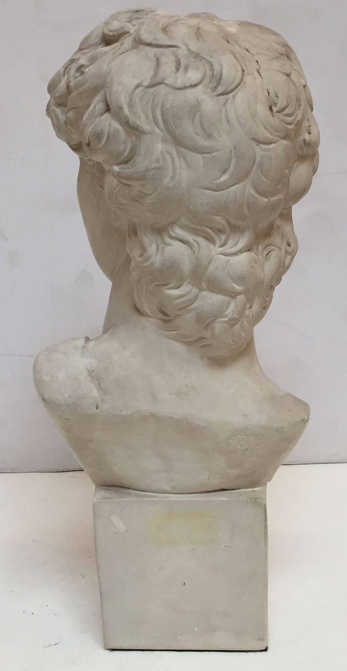 English Plaster Bust of Michelangelo's David 3