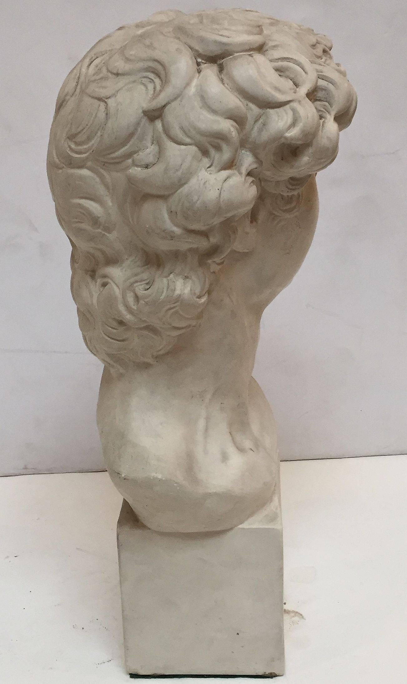 English Plaster Bust of Michelangelo's David 1