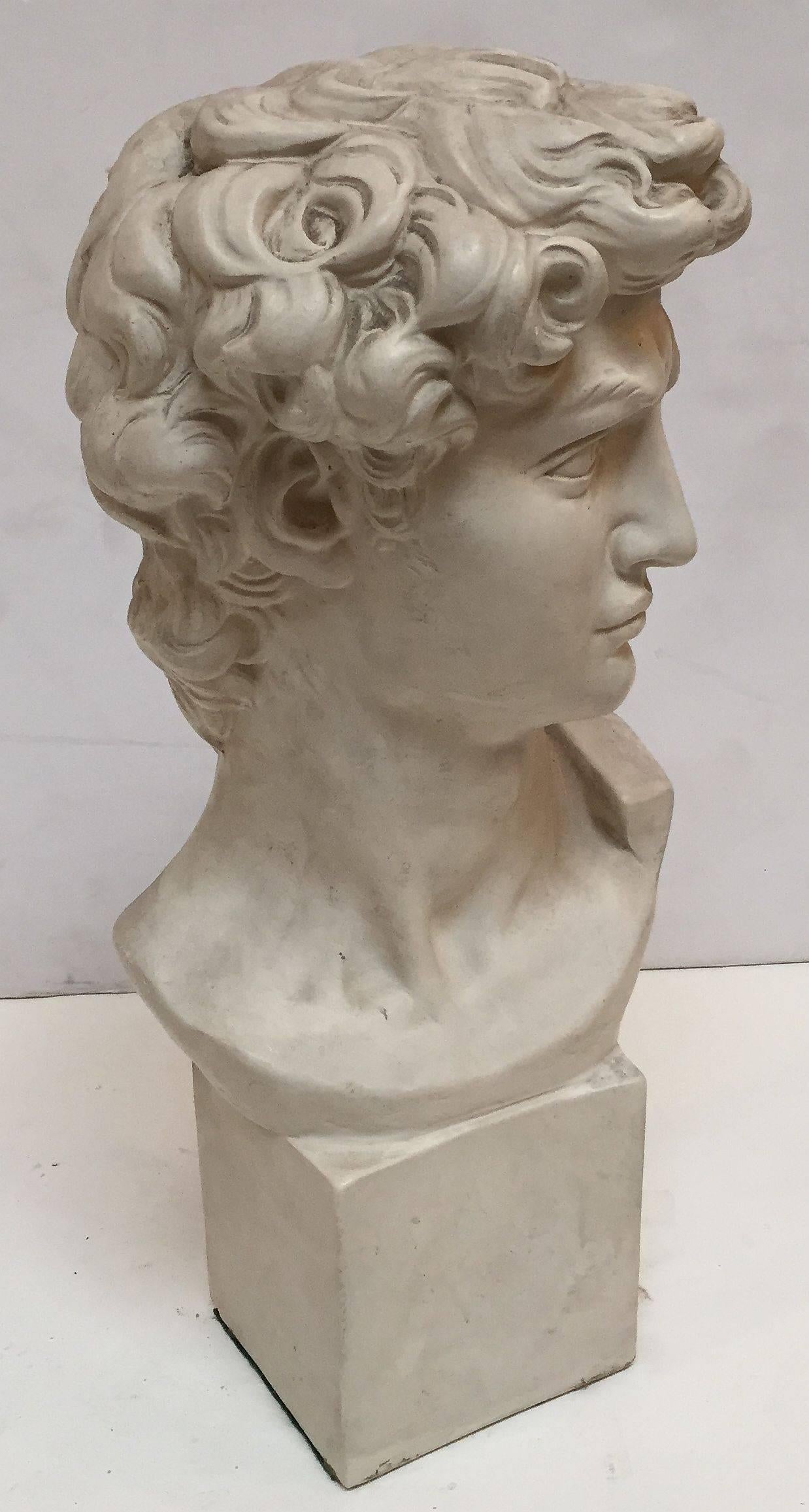 plaster bust of david