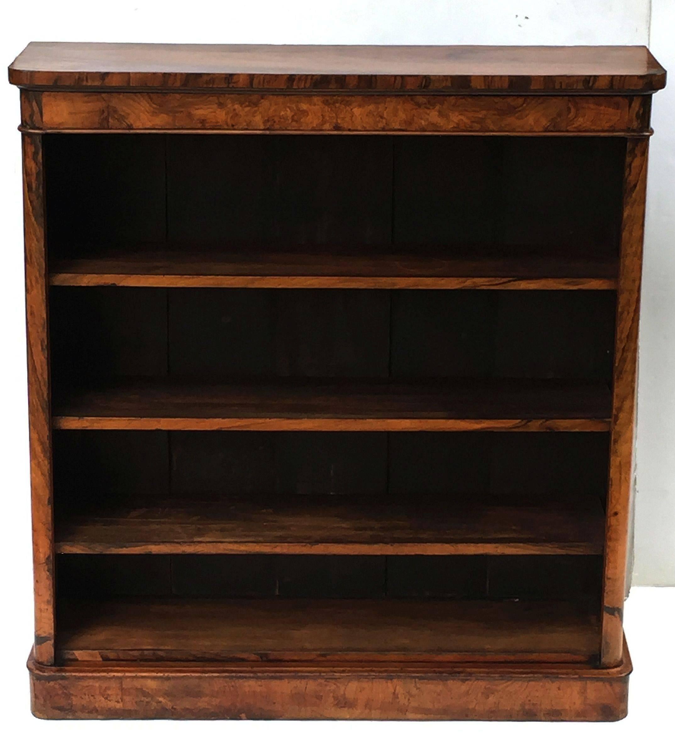English Open Bookcase of Burr Walnut In Excellent Condition In Austin, TX