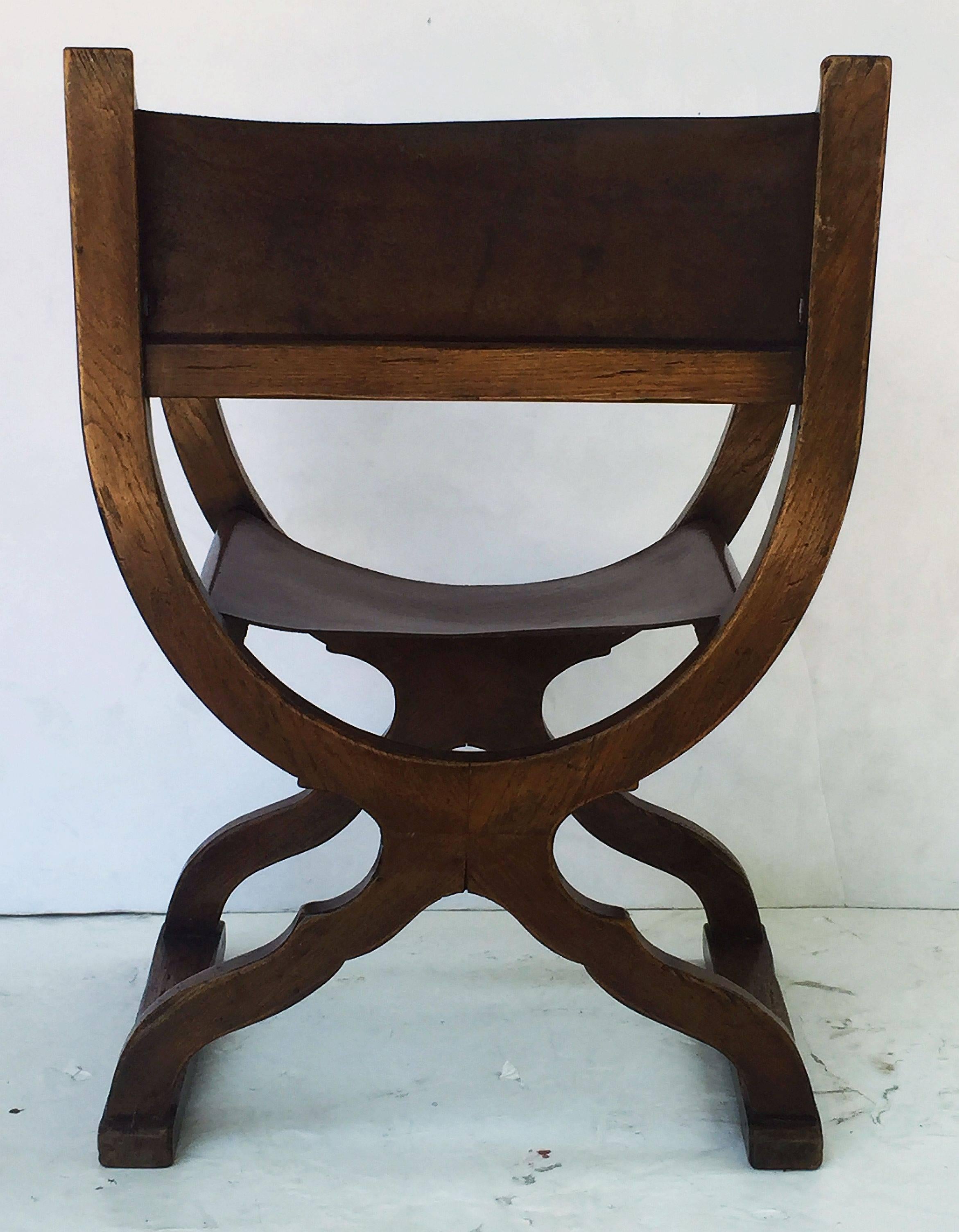 French Savonarola Armchair with Leather Back and Seat 4
