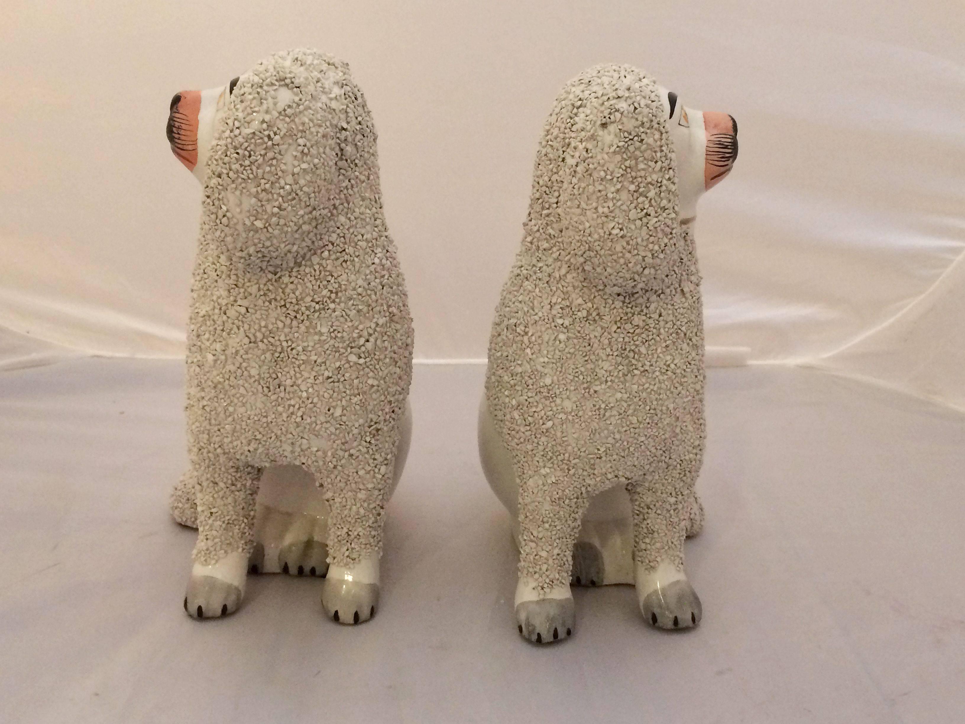 English Pair of Large 19th Century Staffordshire Poodles from England