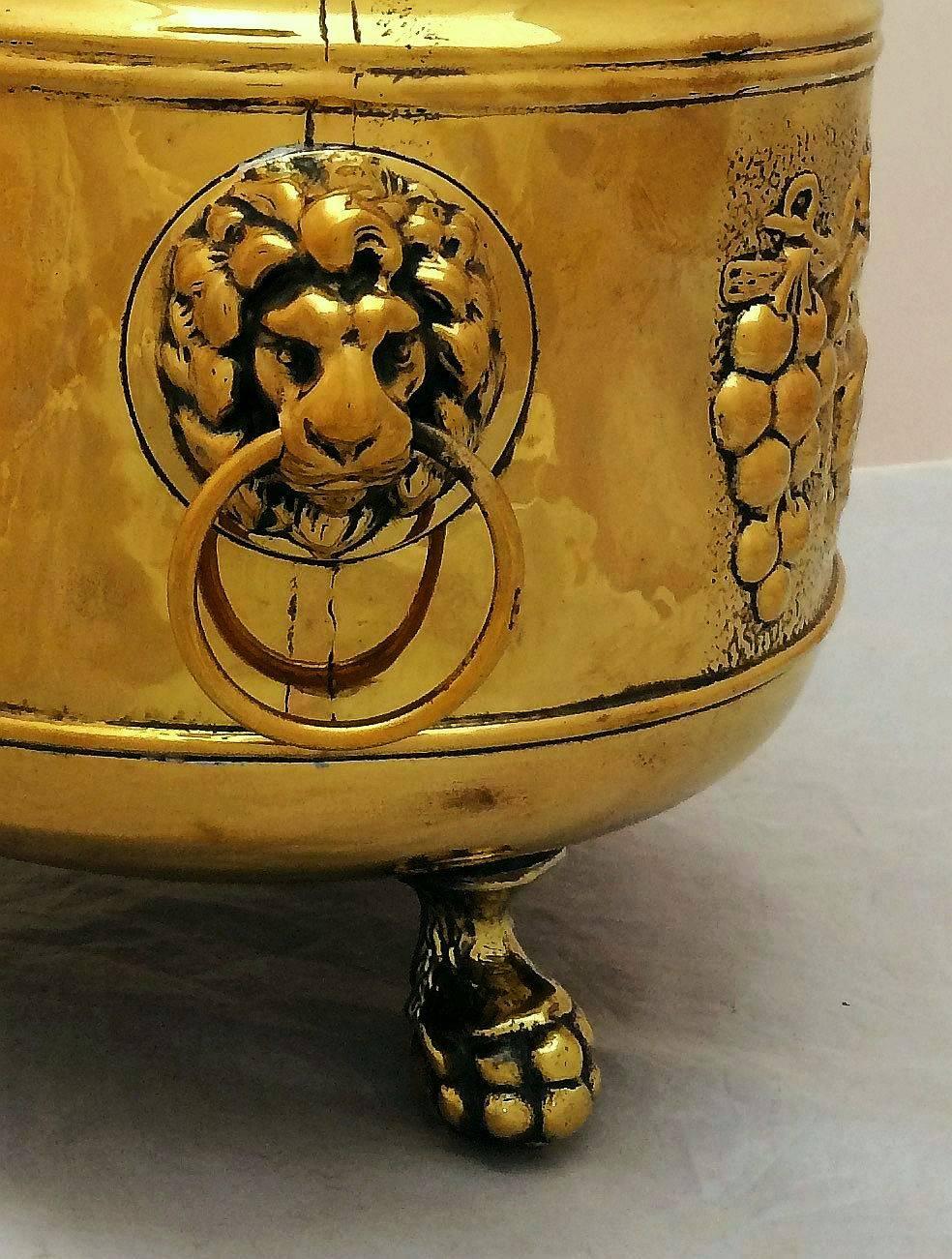 French Jardiniere or Planter of Brass with Lion's Head 2