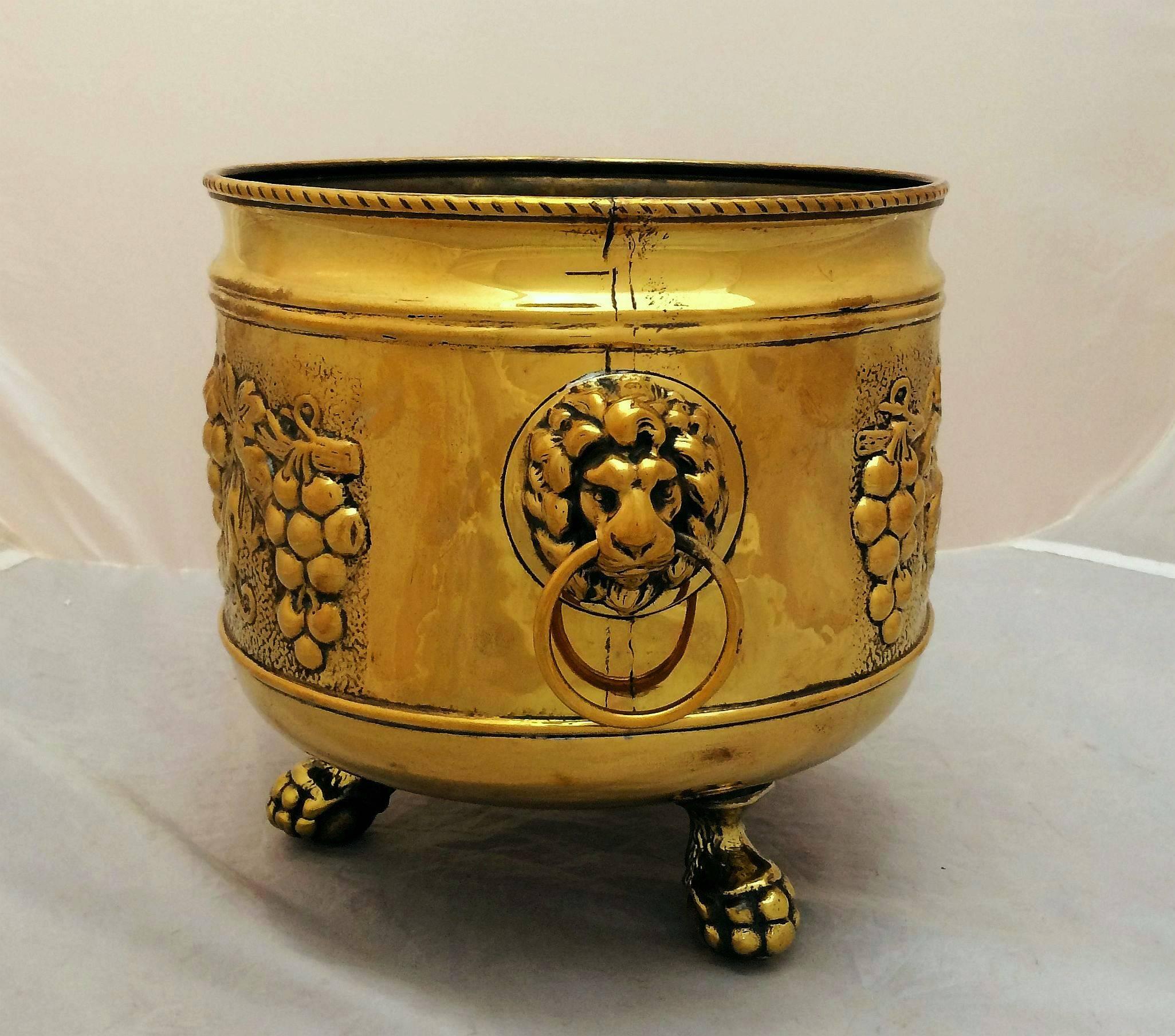 French Jardiniere or Planter of Brass with Lion's Head 1