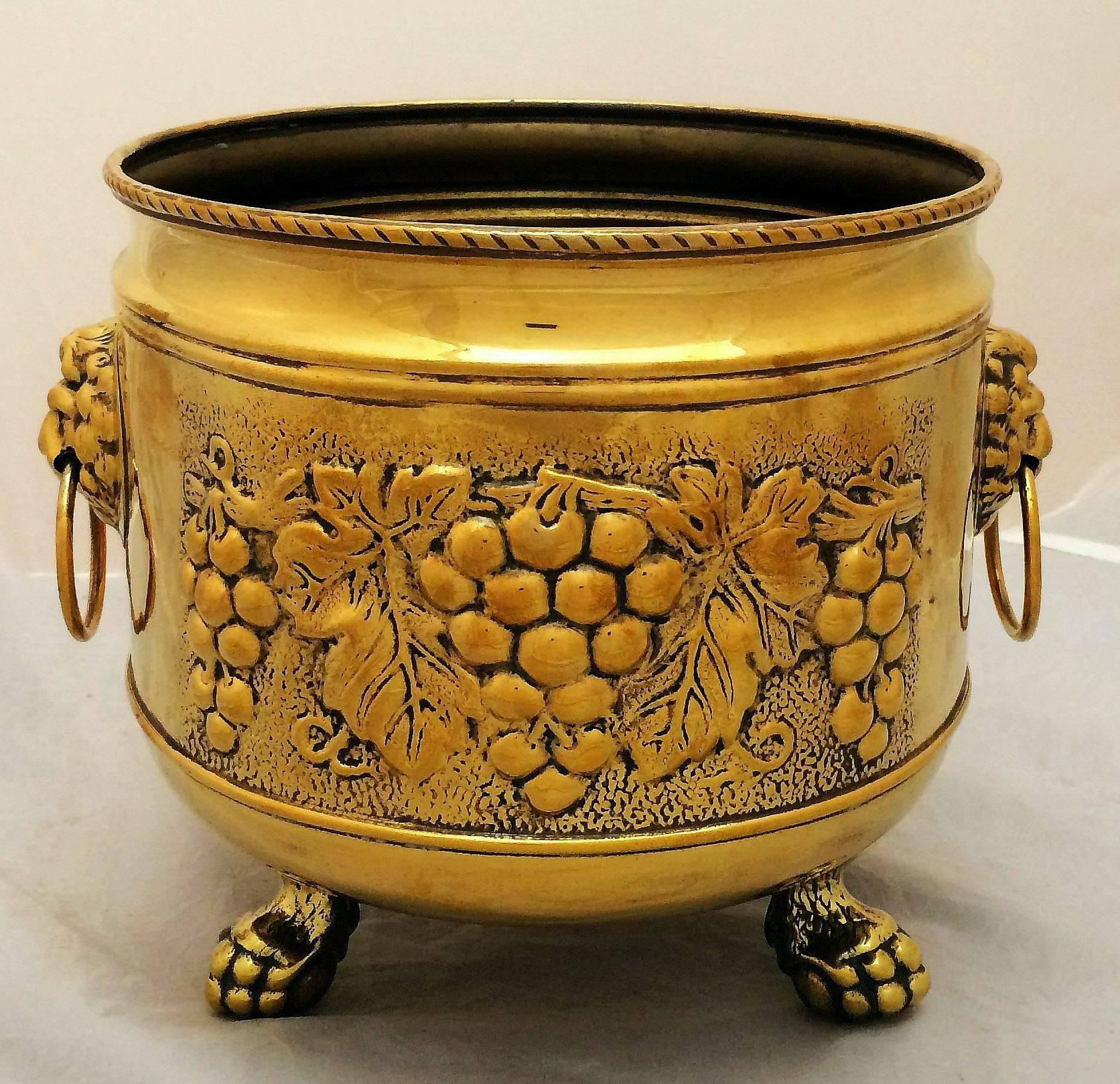 French Jardiniere or Planter of Brass with Lion's Head 5