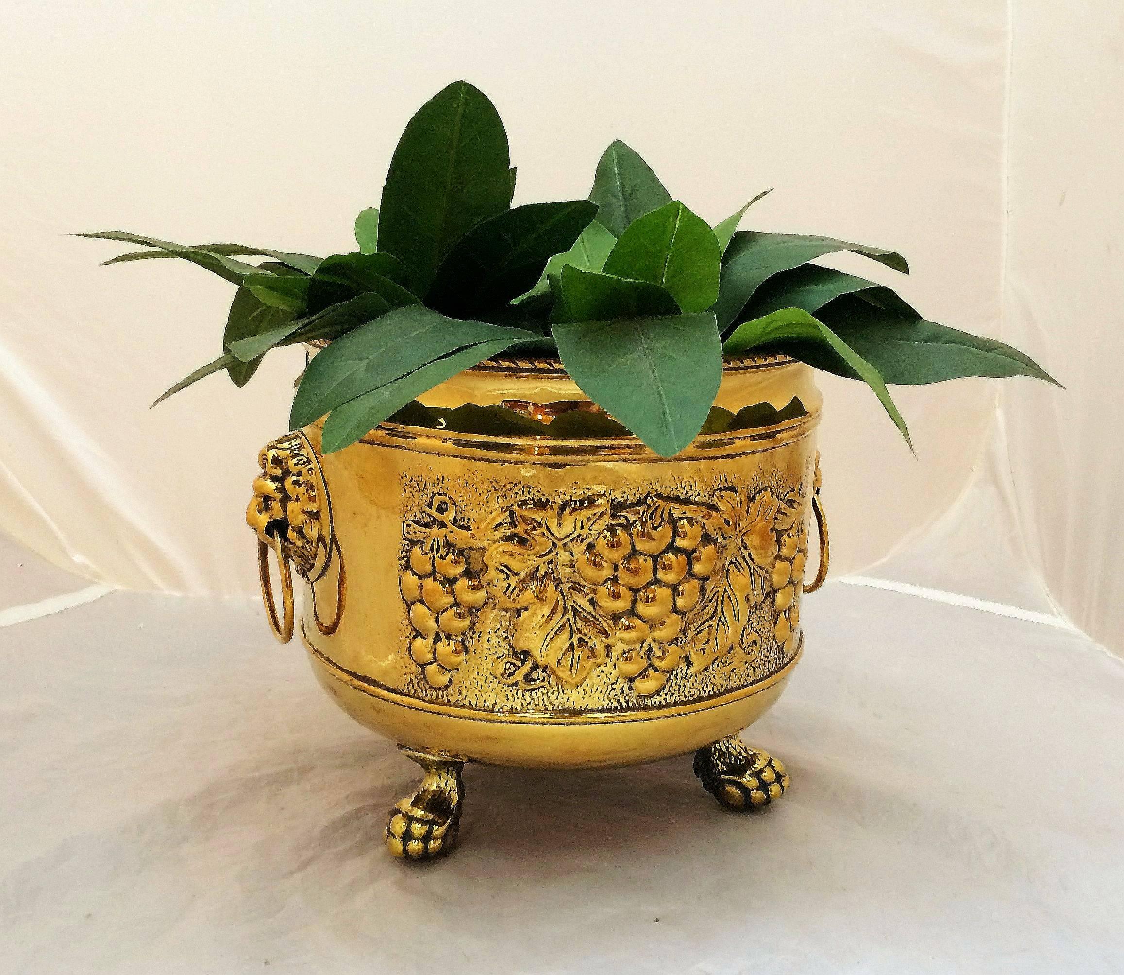 French Jardiniere or Planter of Brass with Lion's Head 6
