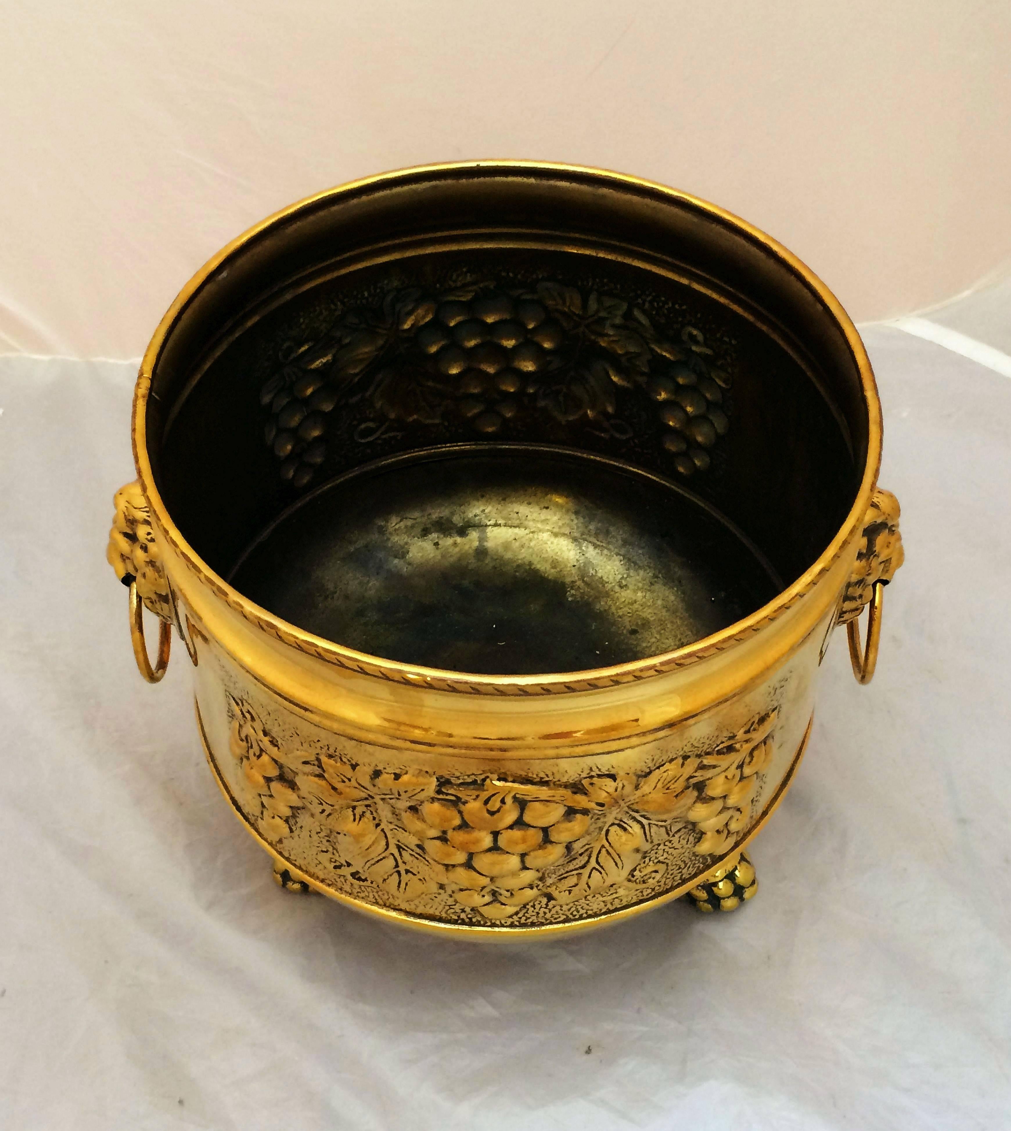 20th Century French Jardiniere or Planter of Brass with Lion's Head