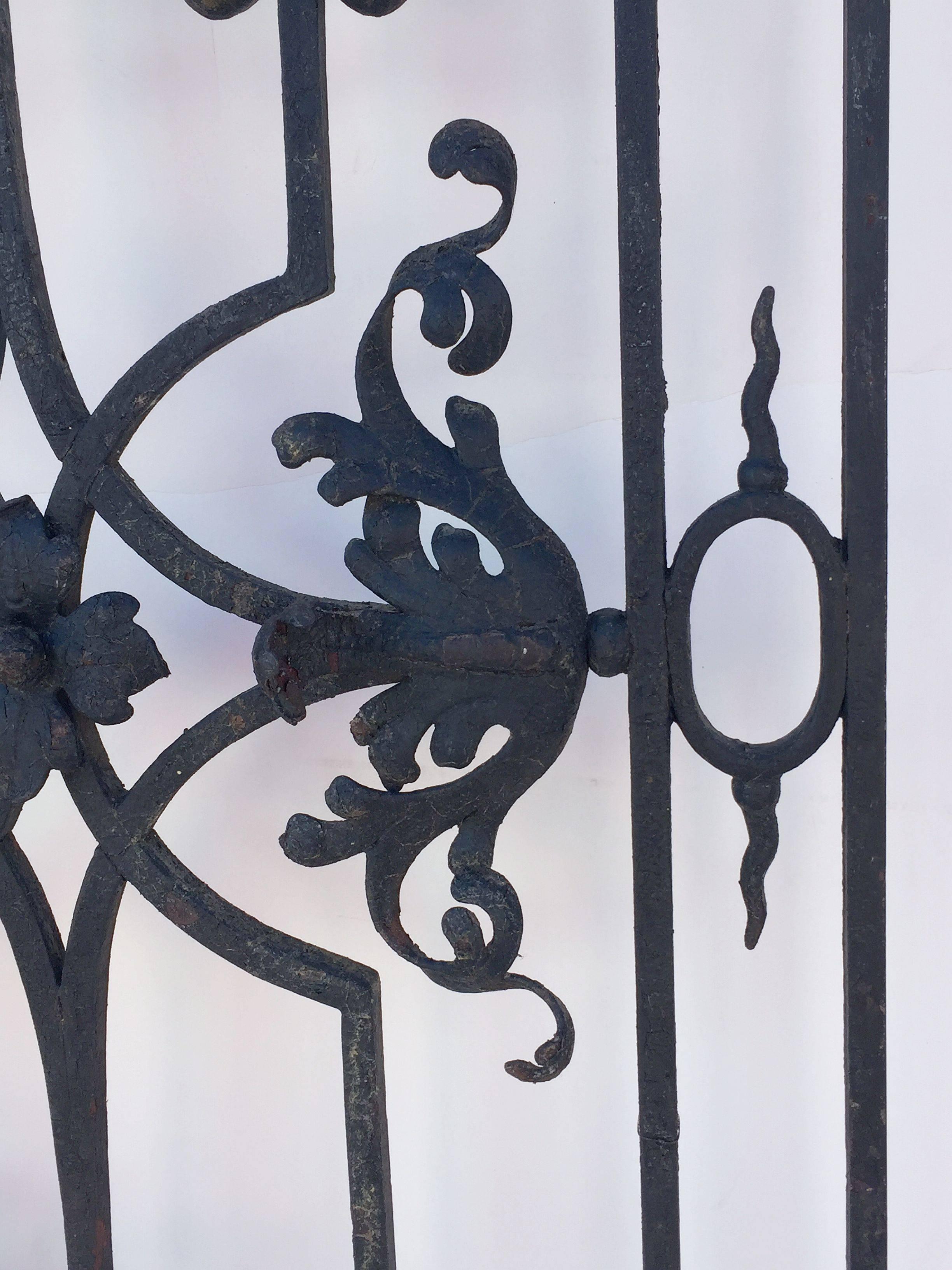 Large French Arched Gate of Wrought Iron from the 19th Century 4