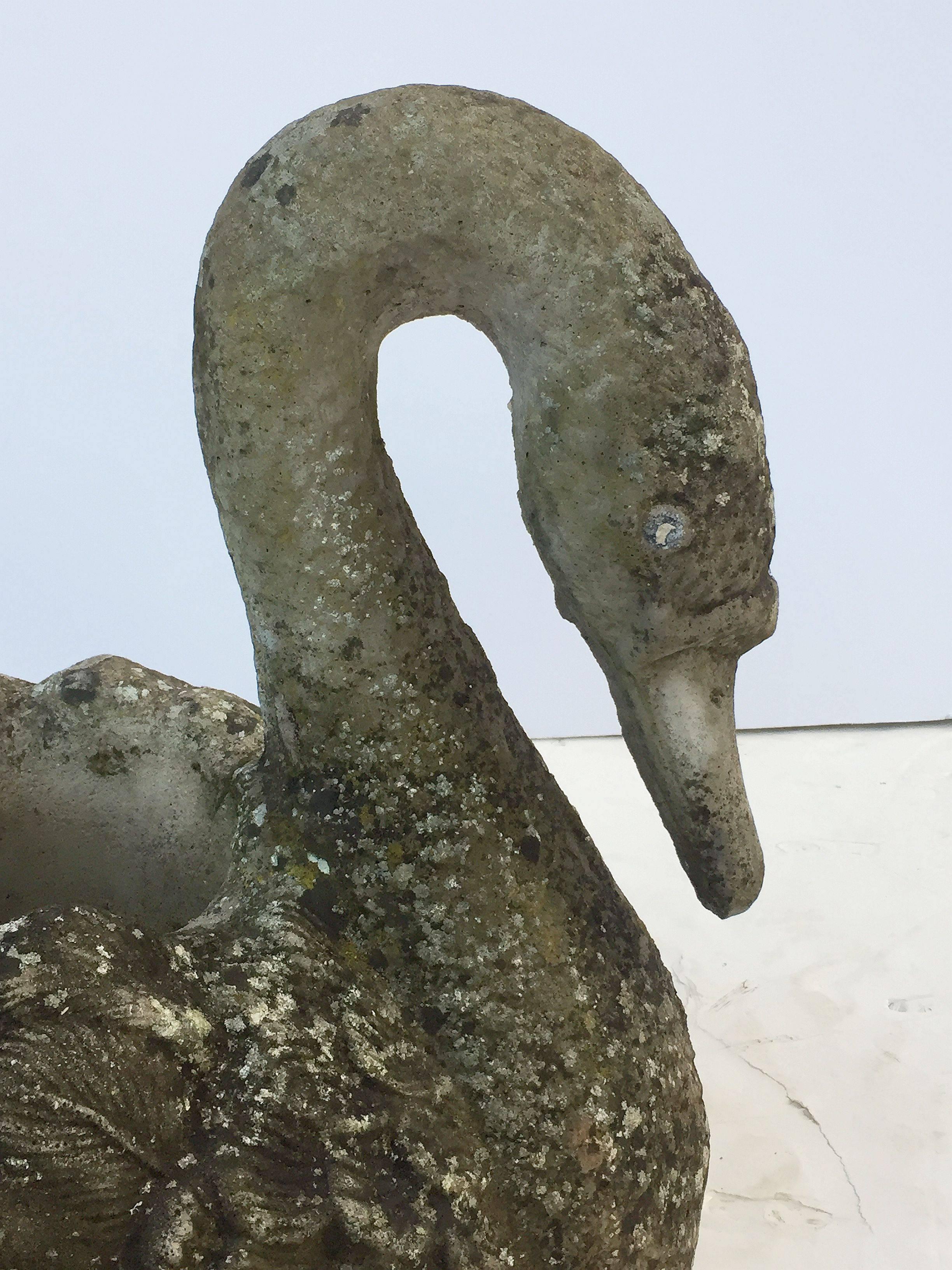 Large English Garden Stone Planter of a Swan 1