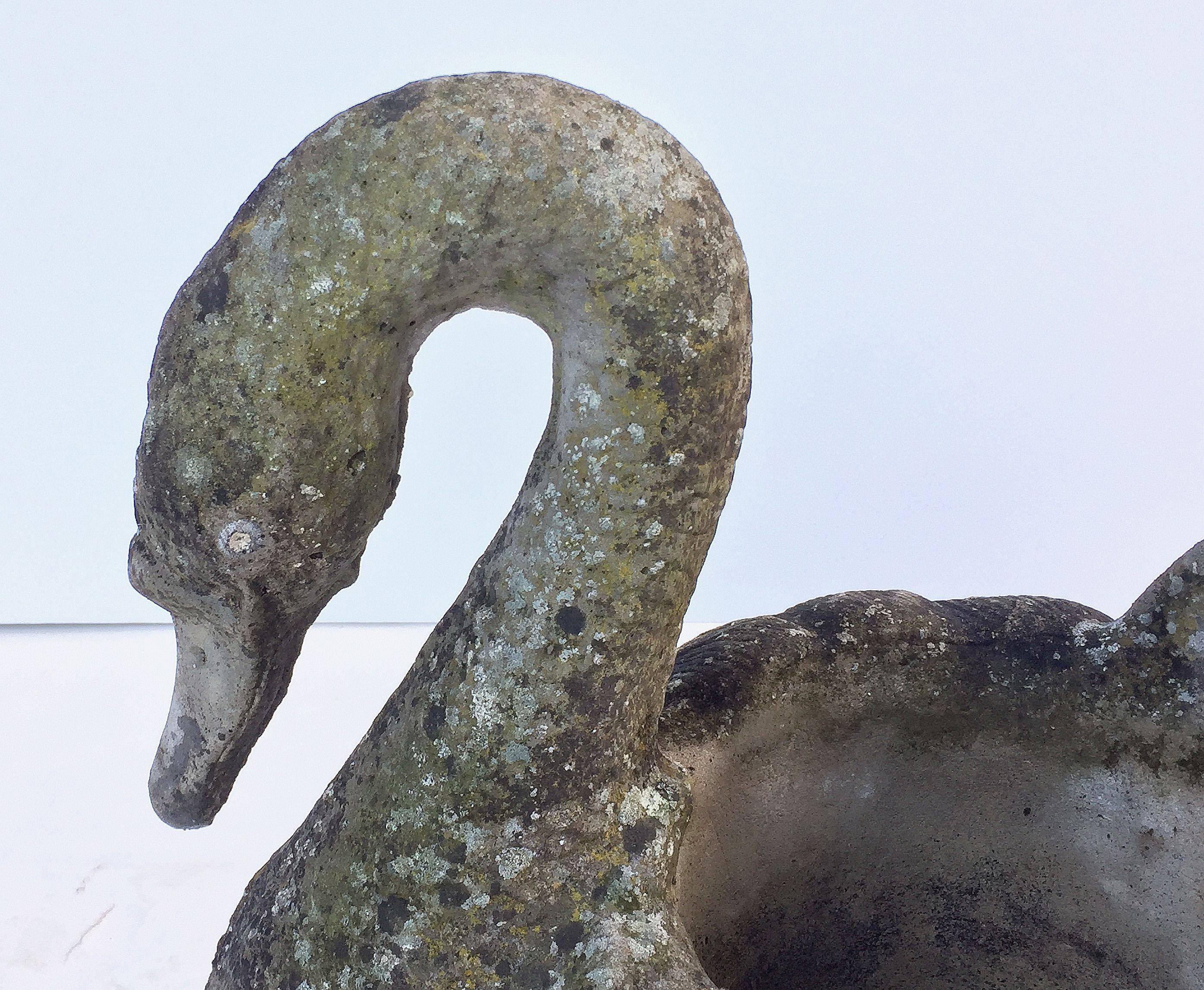Cast Stone Large English Garden Stone Planter of a Swan