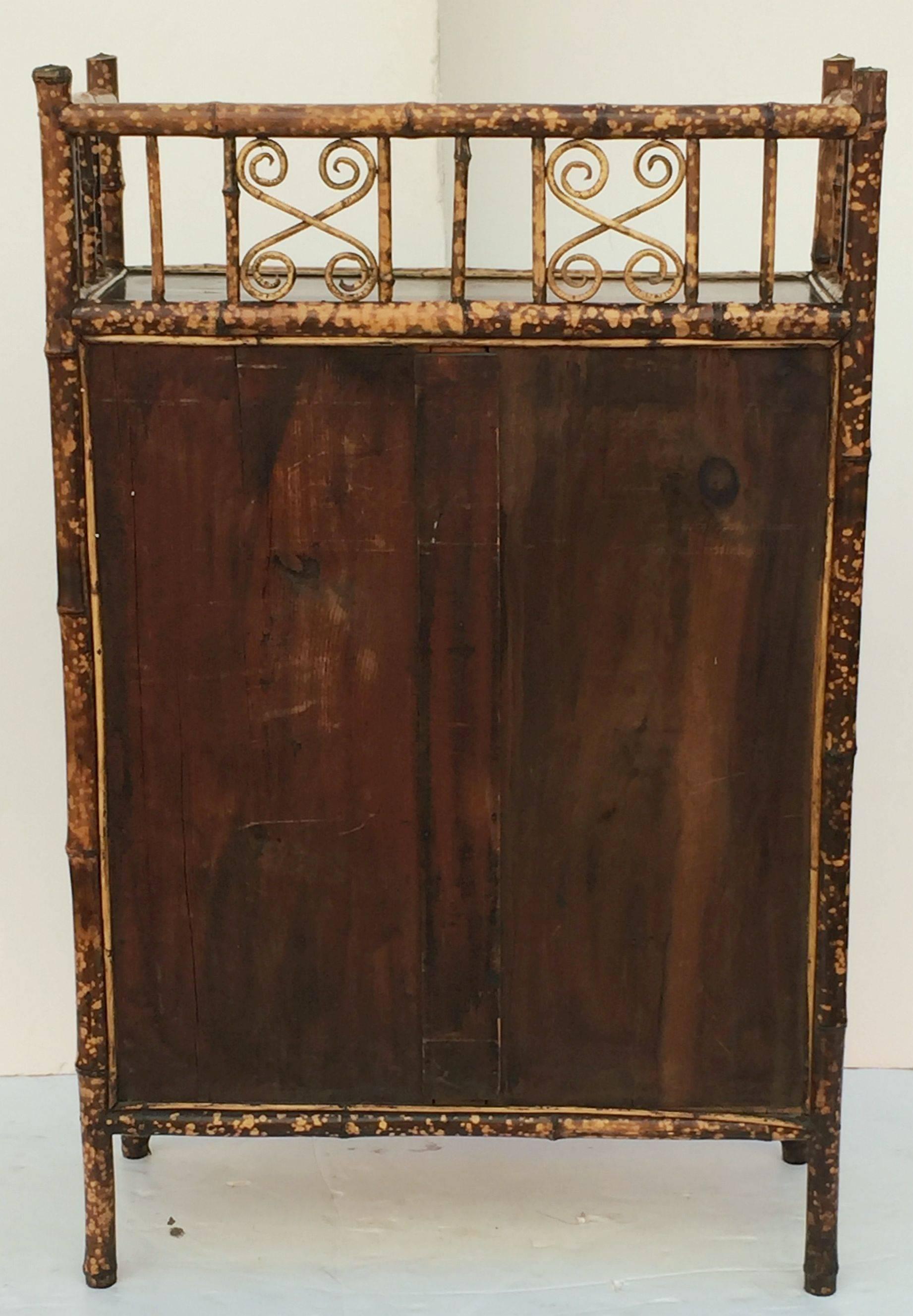 English Bamboo Bookcase Cabinet with Two Glazed Doors 4