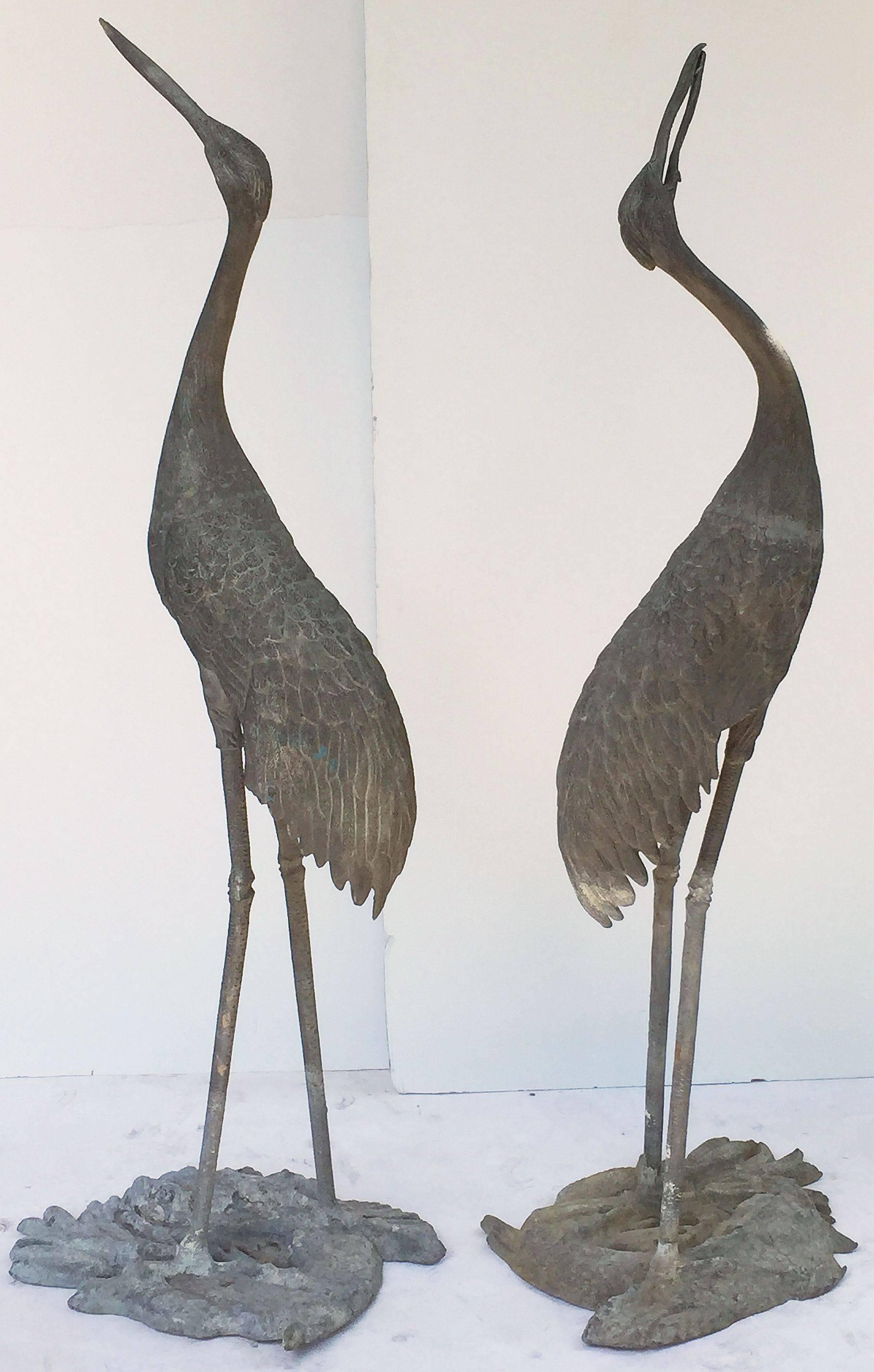 A pair of large ornamental lead herons or water birds from England, for display in a garden or water feature, each featuring a fine depiction of a heron bird standing on an oval base with a relief of fish.

Individually priced - $4895 each heron.