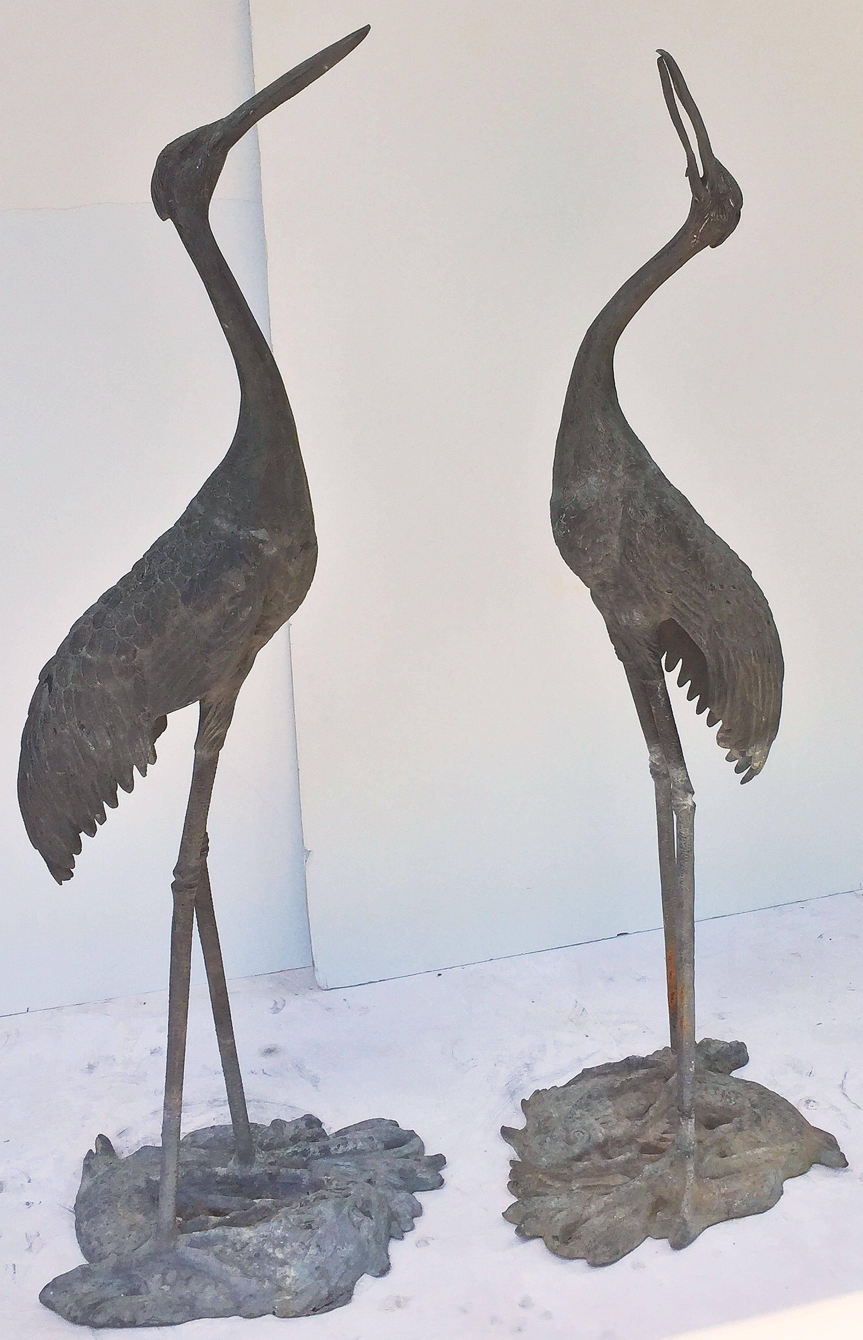 ornamental birds for garden