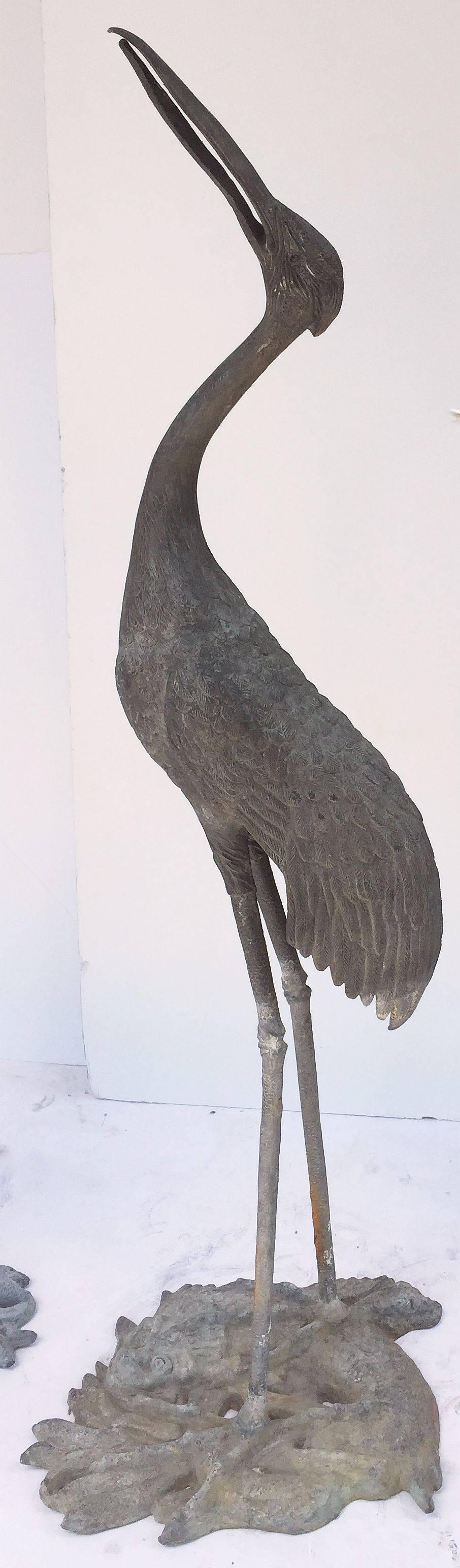 20th Century Pair of English Large Ornamental Lead Herons or Water Birds for the Garden