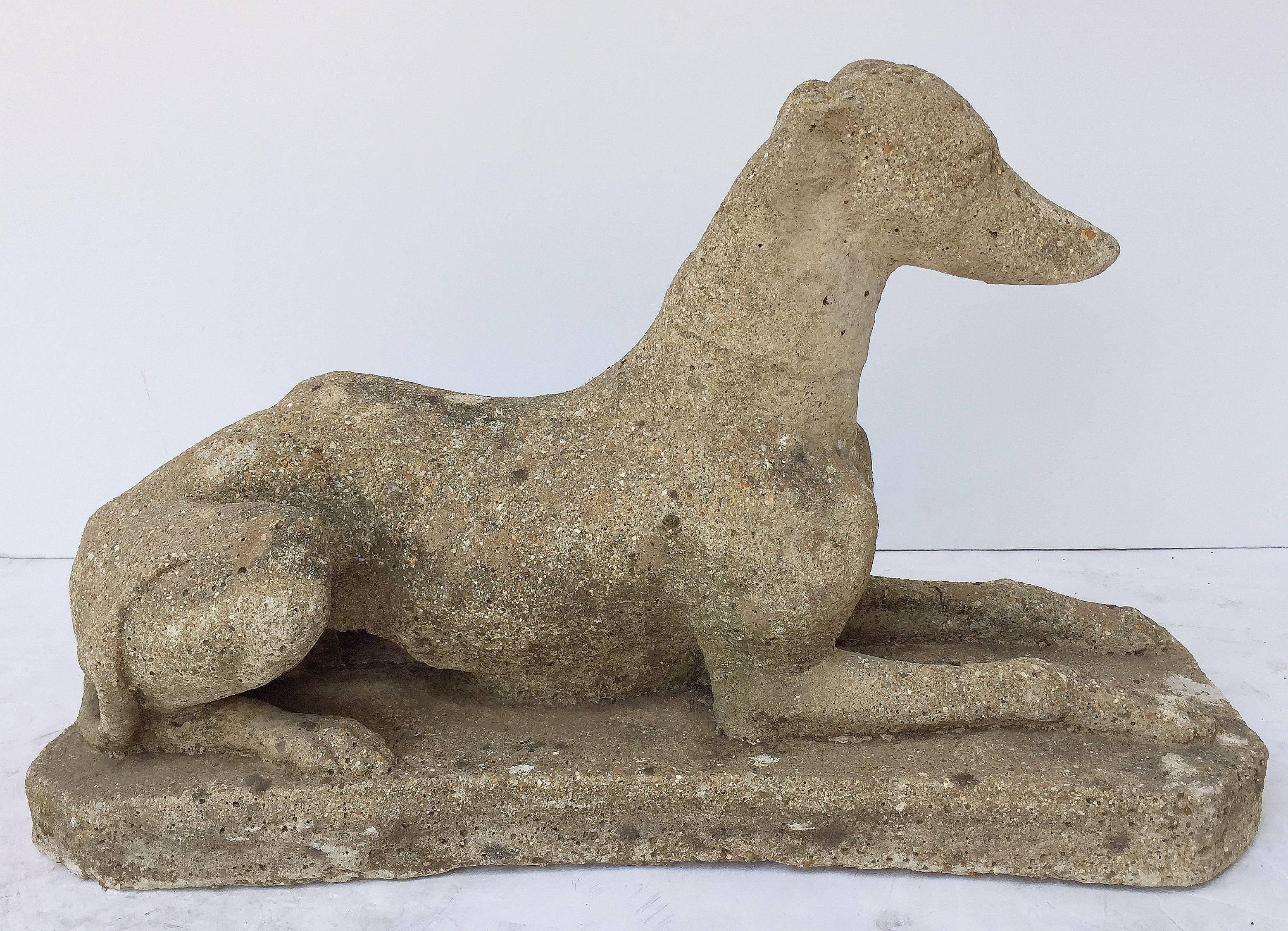 A handsome English whippet or greyhound dog, of composition stone, in a recumbent position on a long oval base, with collar around the neck.

Perfect for a garden room or conservatory.