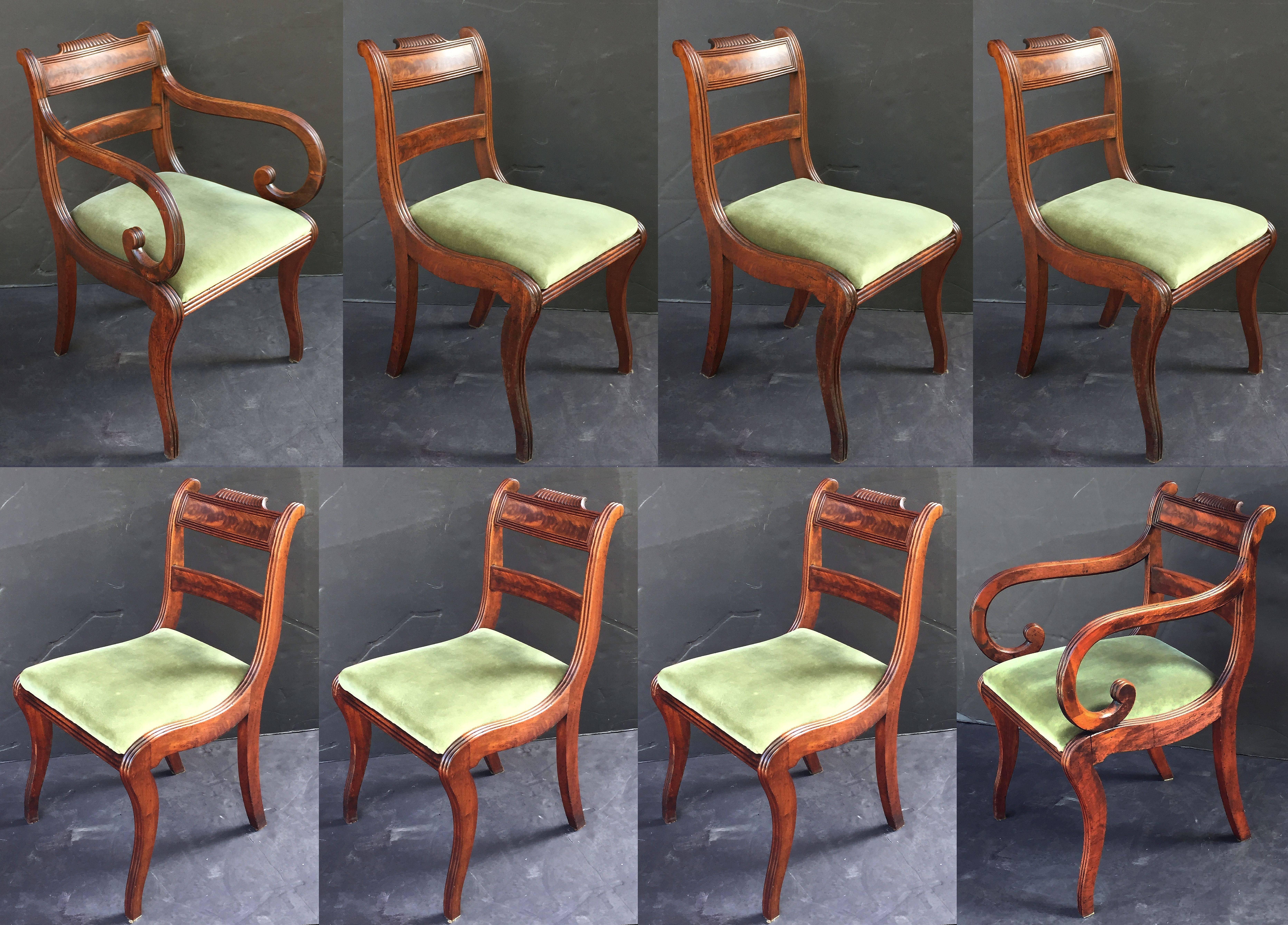 regency dining chairs mahogany