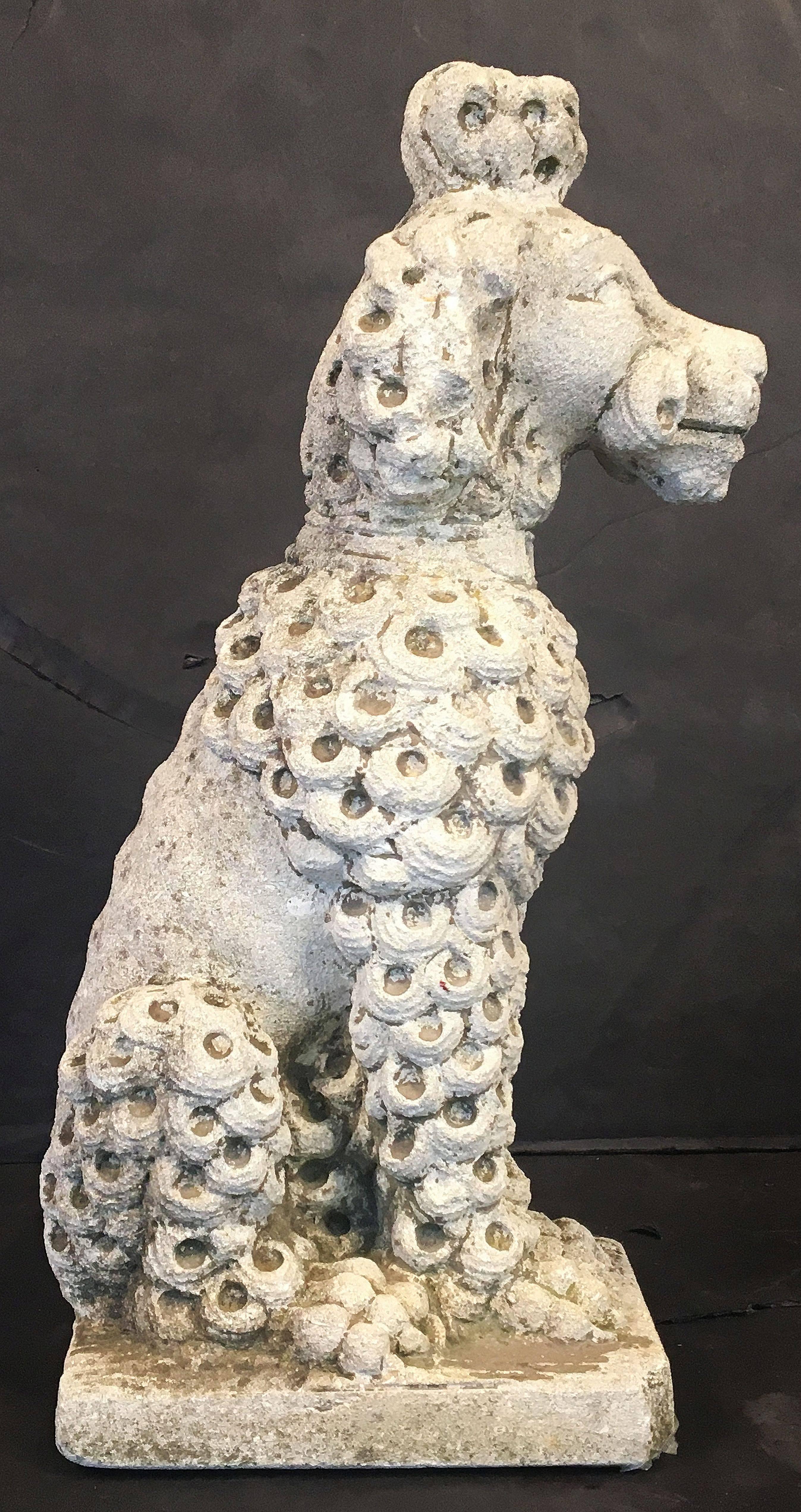 20th Century English Garden Stone Dog - Poodle