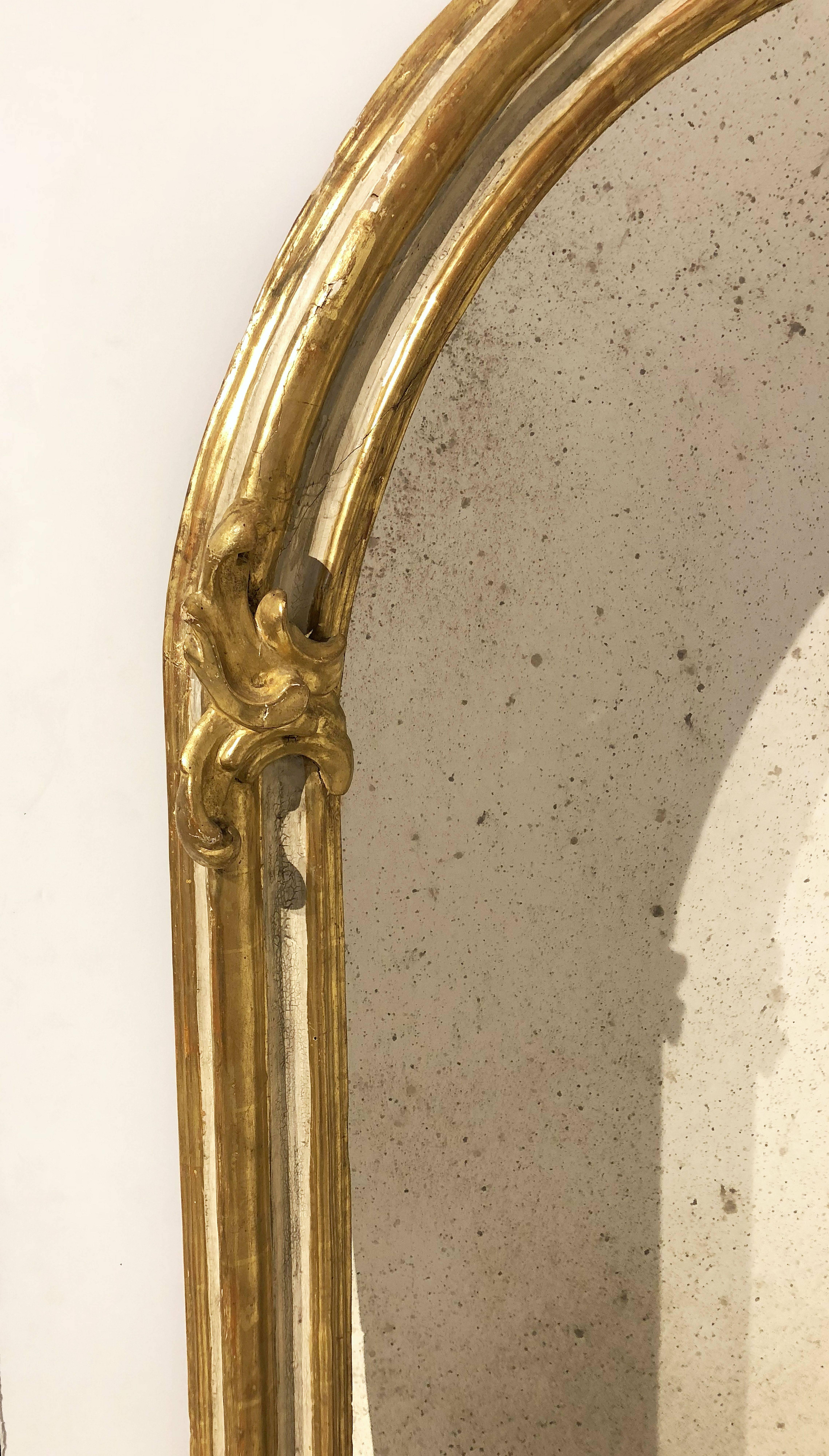 Large Italian Gilt Hall Mirror (H 65 x W 37) 2