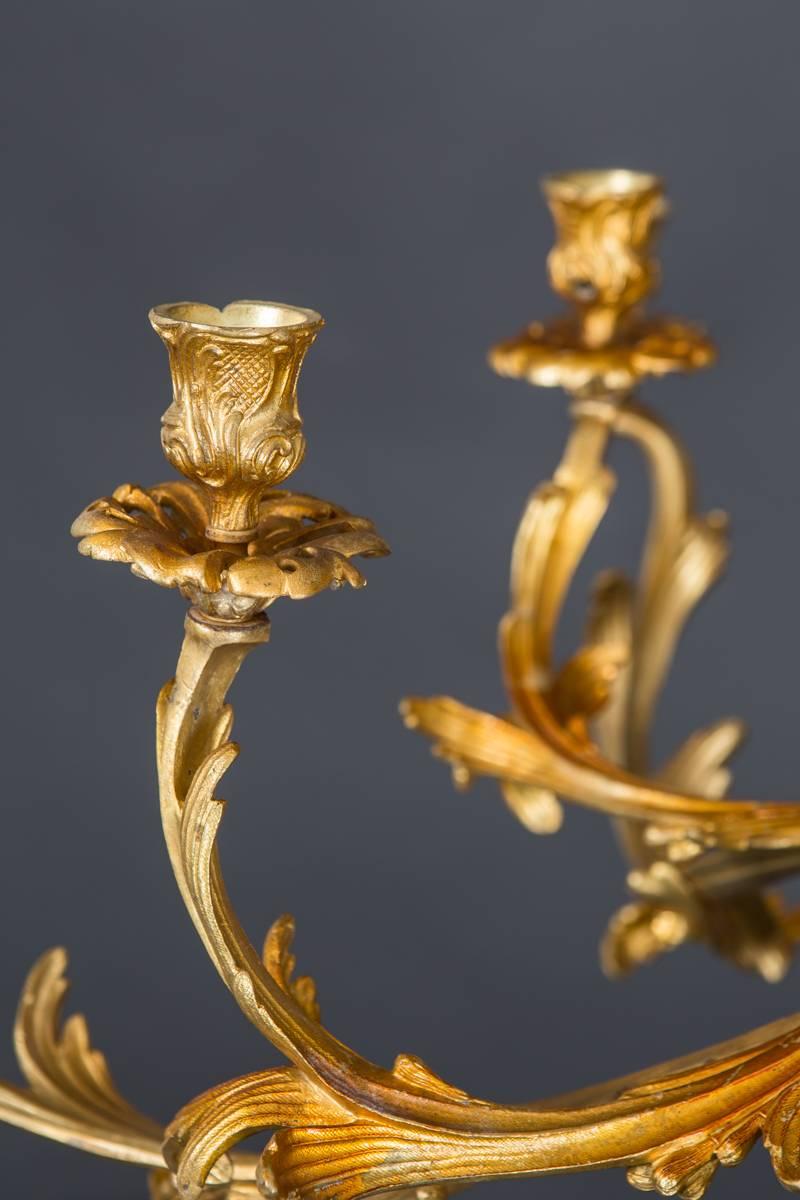 Rococo Chandelier French Large Brass 19th Century, France