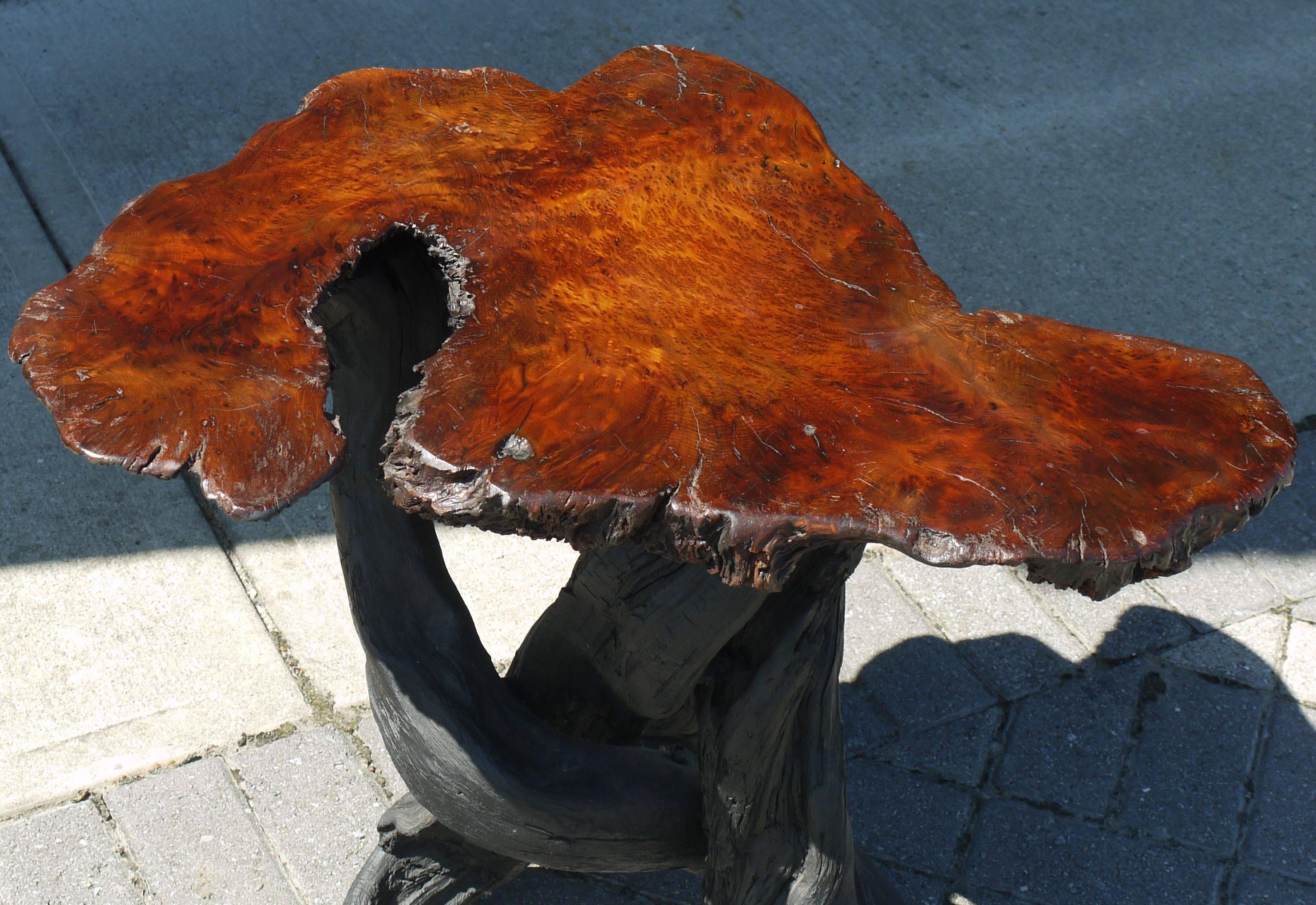 Stunning Japanese lacquered burl top table with a shou sugi ban driftwood base. So it's a burnt driftwood base, the black doesn't seem to come off and I suspect it's been finished... Great natural shape.