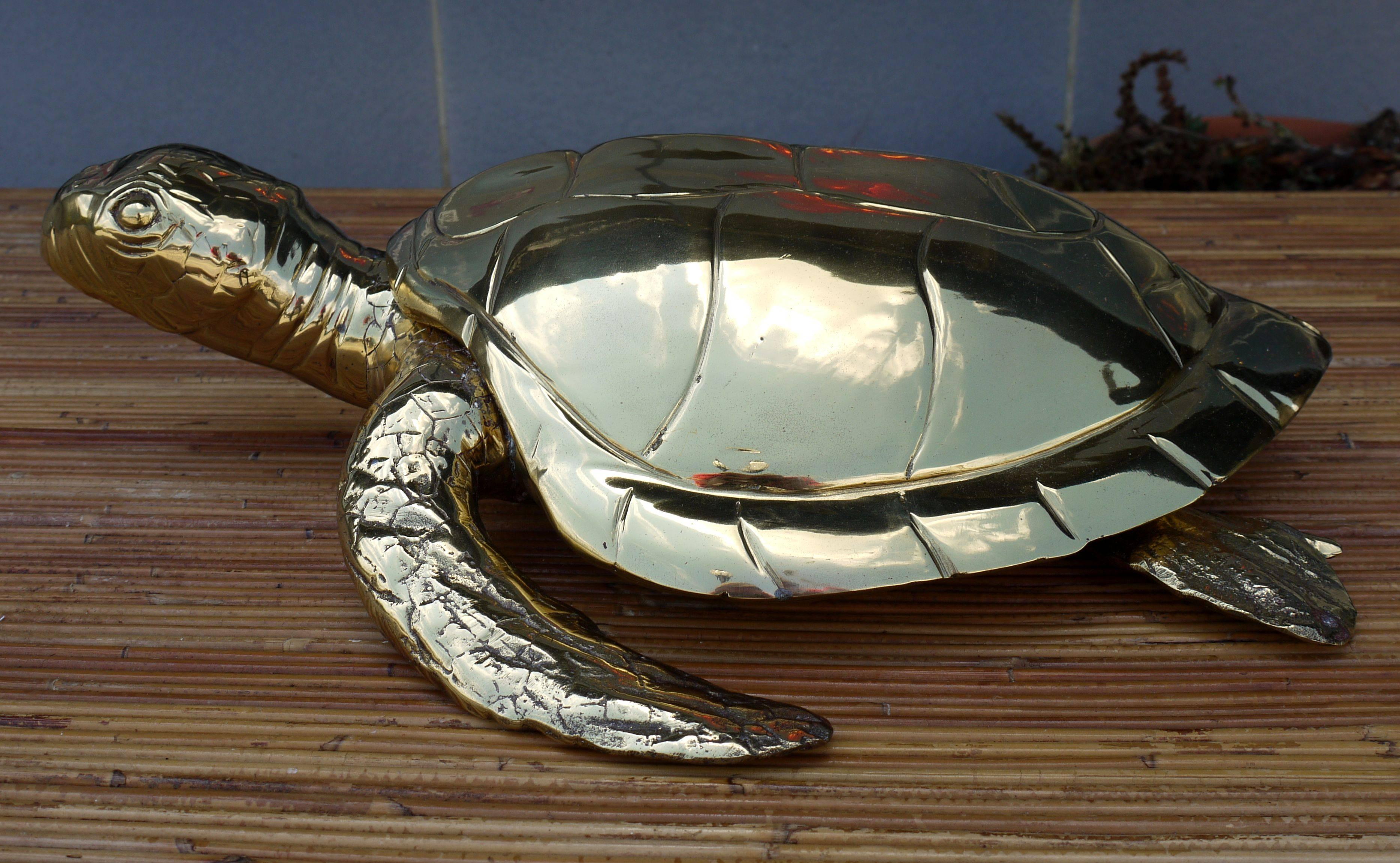 Amazing large scale high polished brass sea turtle box. Great design to it. Great scale for use on a coffee table or entrance table to hide your keys or whatever.