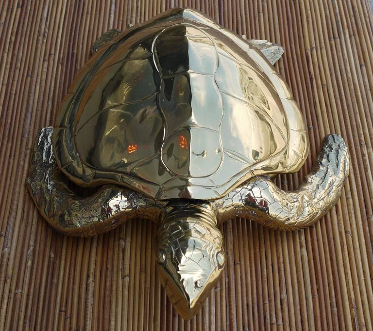 Stunning Large Scale Brass Sea Turtle Box For Sale at 1stdibs