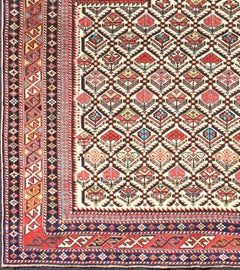 Antico tappeto Shirvan caucasico del XIX secolo con disegno di preghiera in avorio