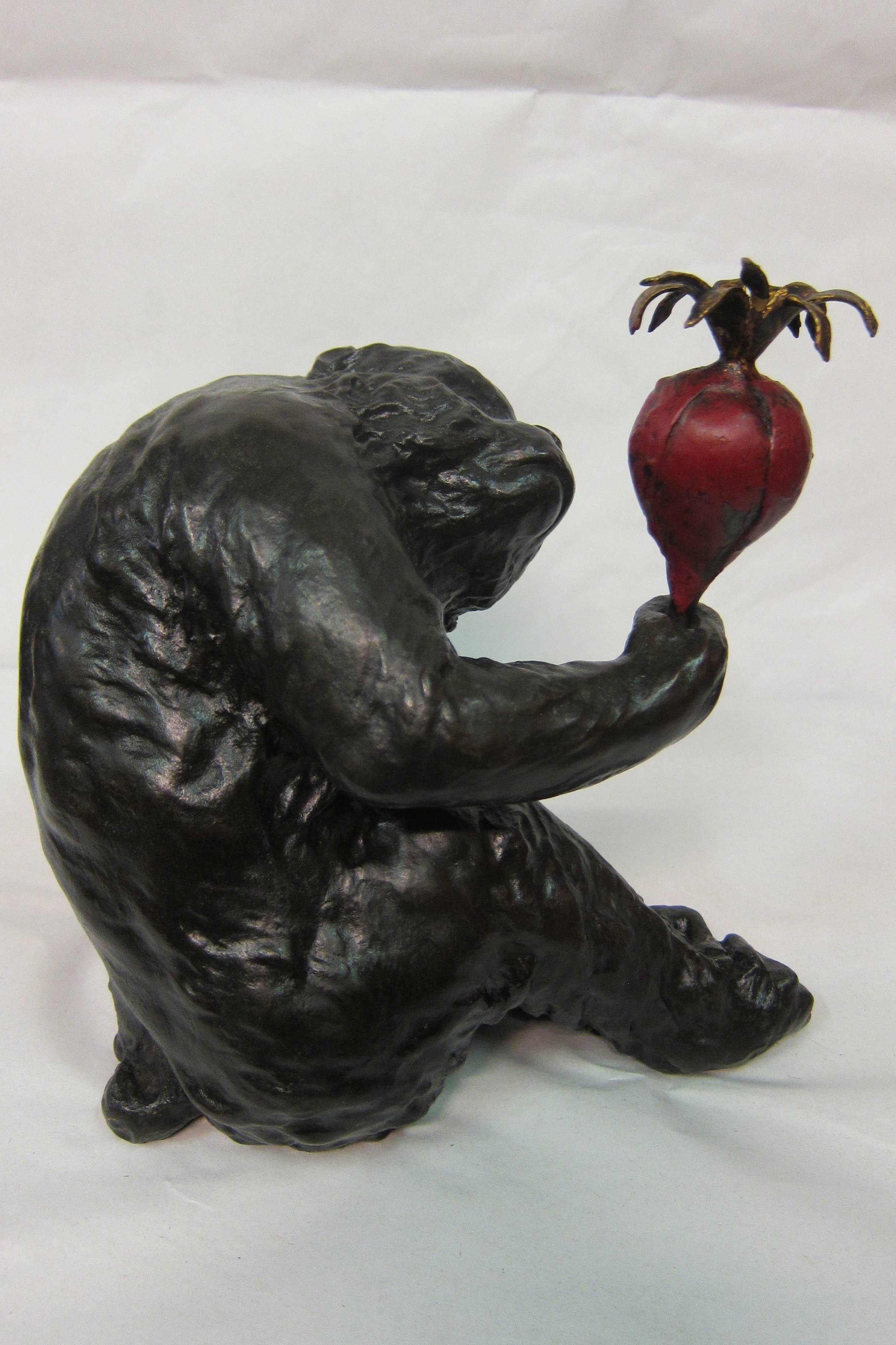 A vintage early 20th century Japanese bronze of a curious ape contemplating whether or not to eat his turnip. The detailed rendering of the ape's anatomy is magnificent & the execution of the primate's facial expression of bewilderment has no equal!