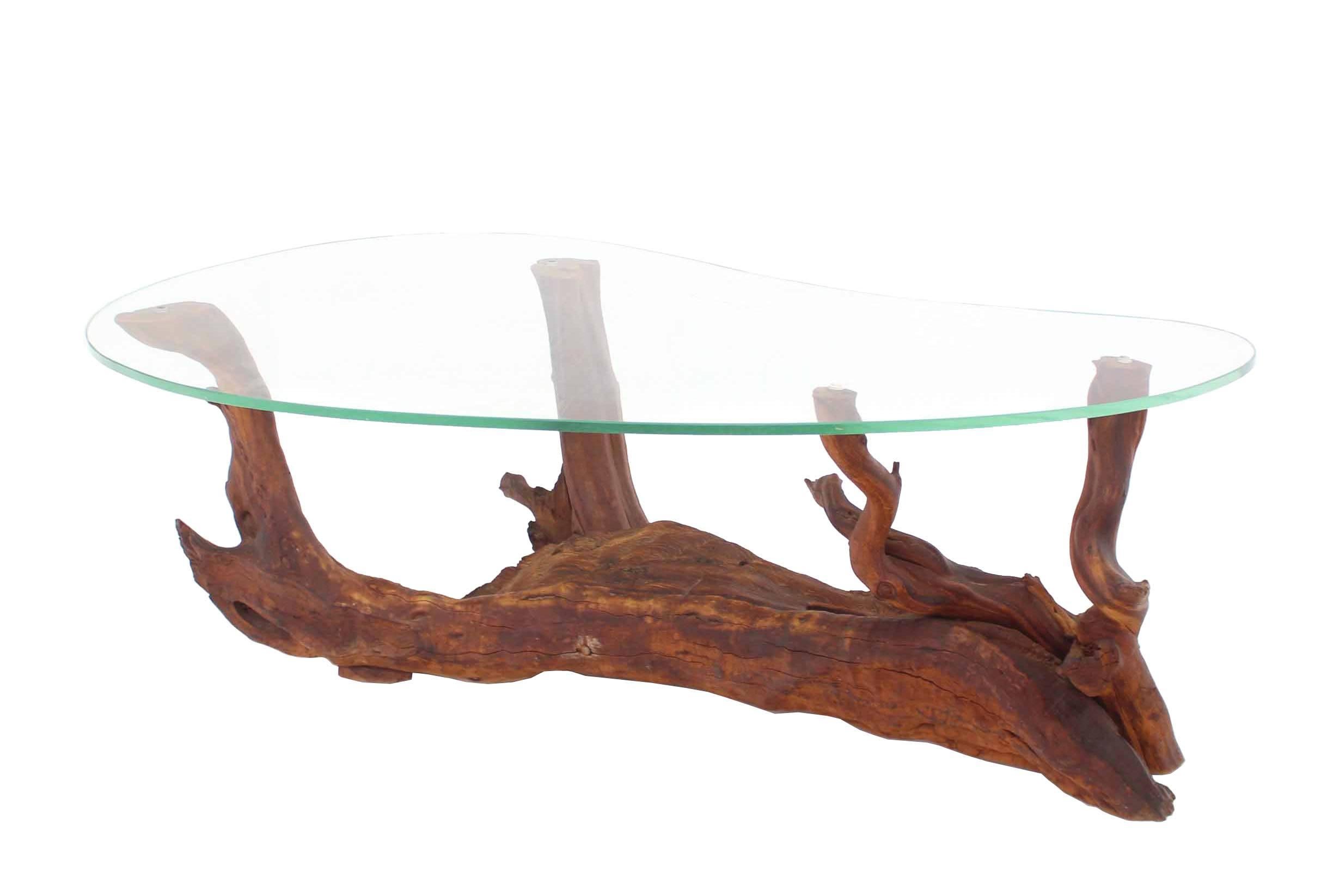 Very nice shape drift wood coffee table.
