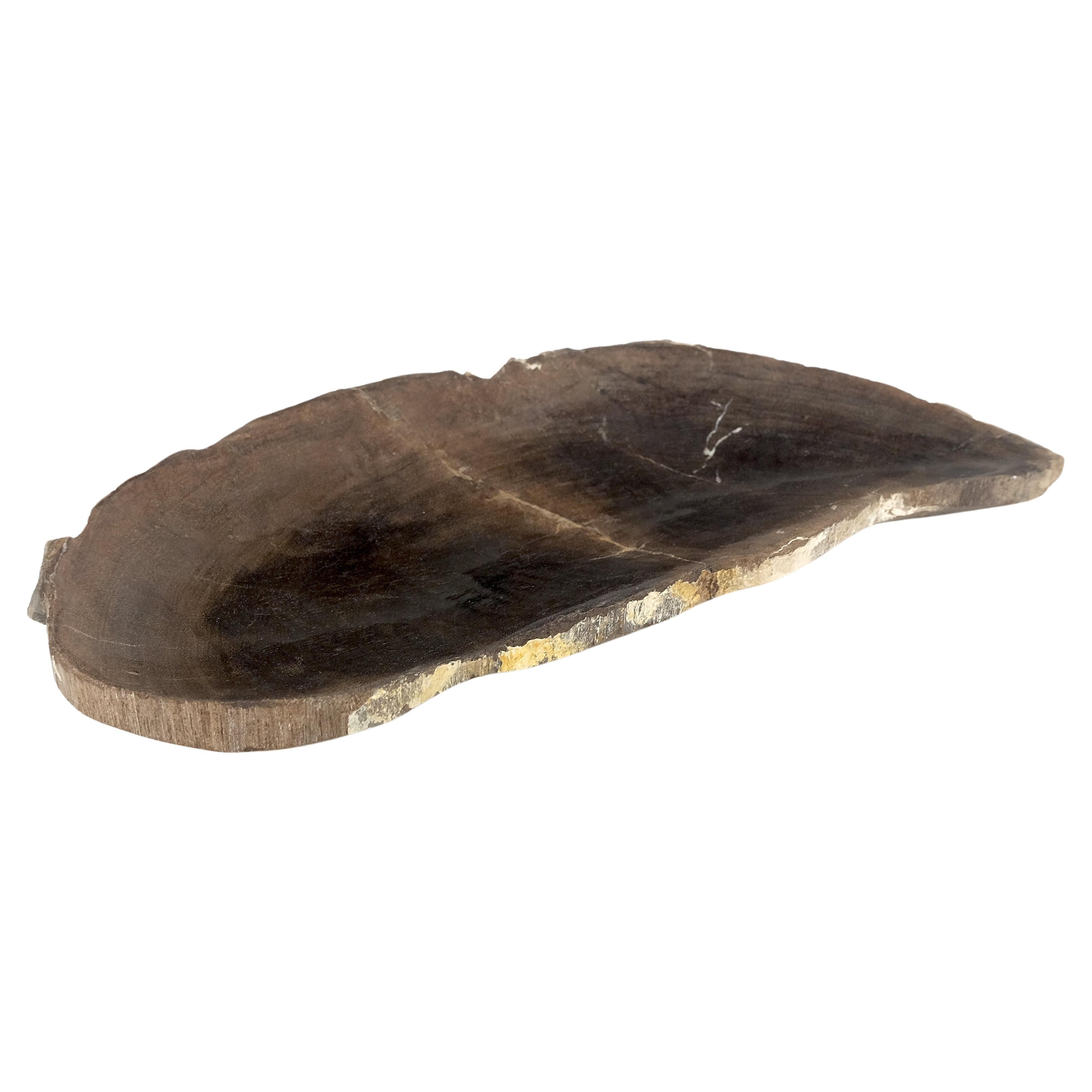 Versteinertes Holz Auster Form Massiv Schwarz Länglich Schüssel Schüssel Großer Teller Aschenbecher im Angebot
