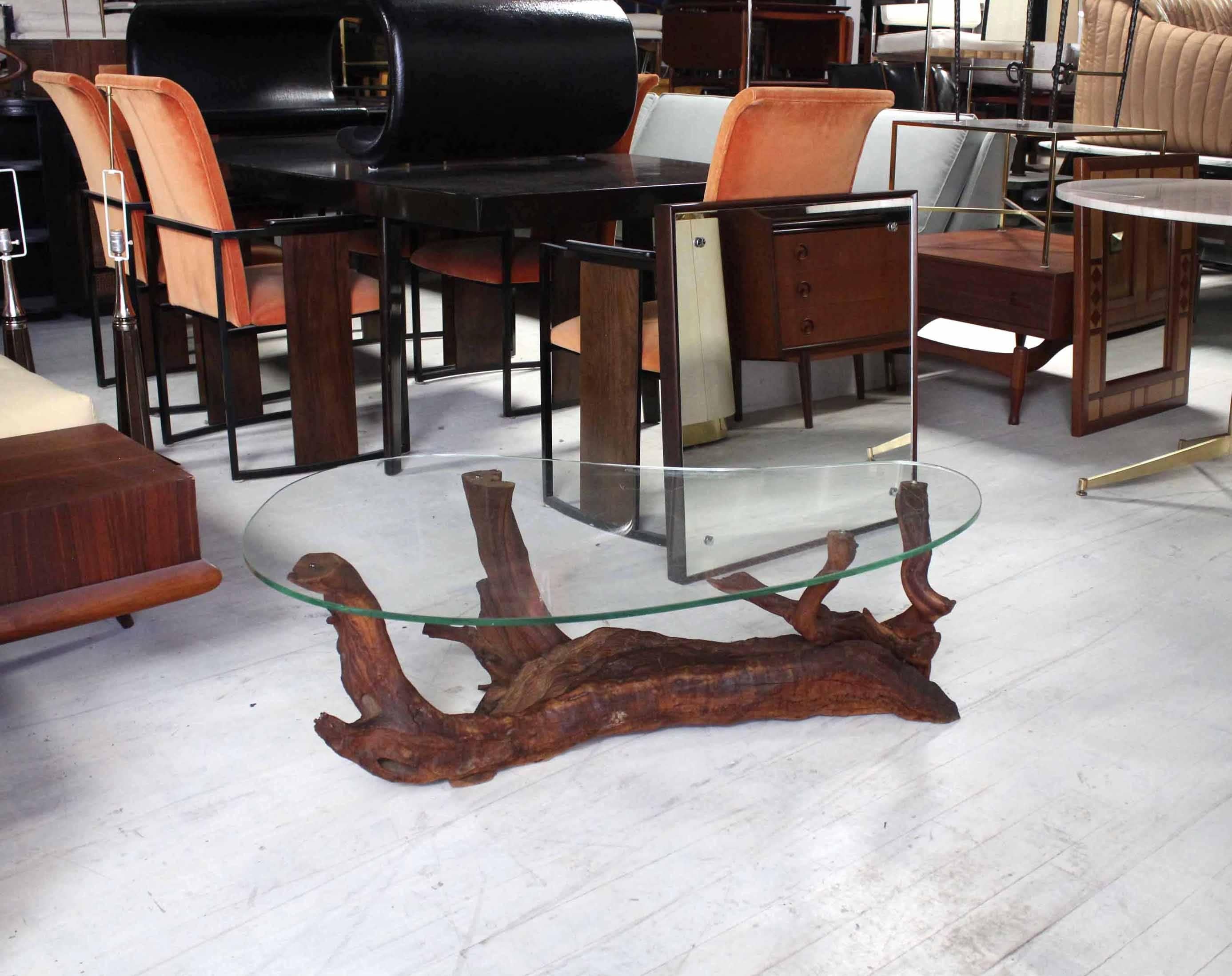 Mid-Century Modern Biomorphic Kidney Shape Glass Top Drift Wood Base Coffee Table