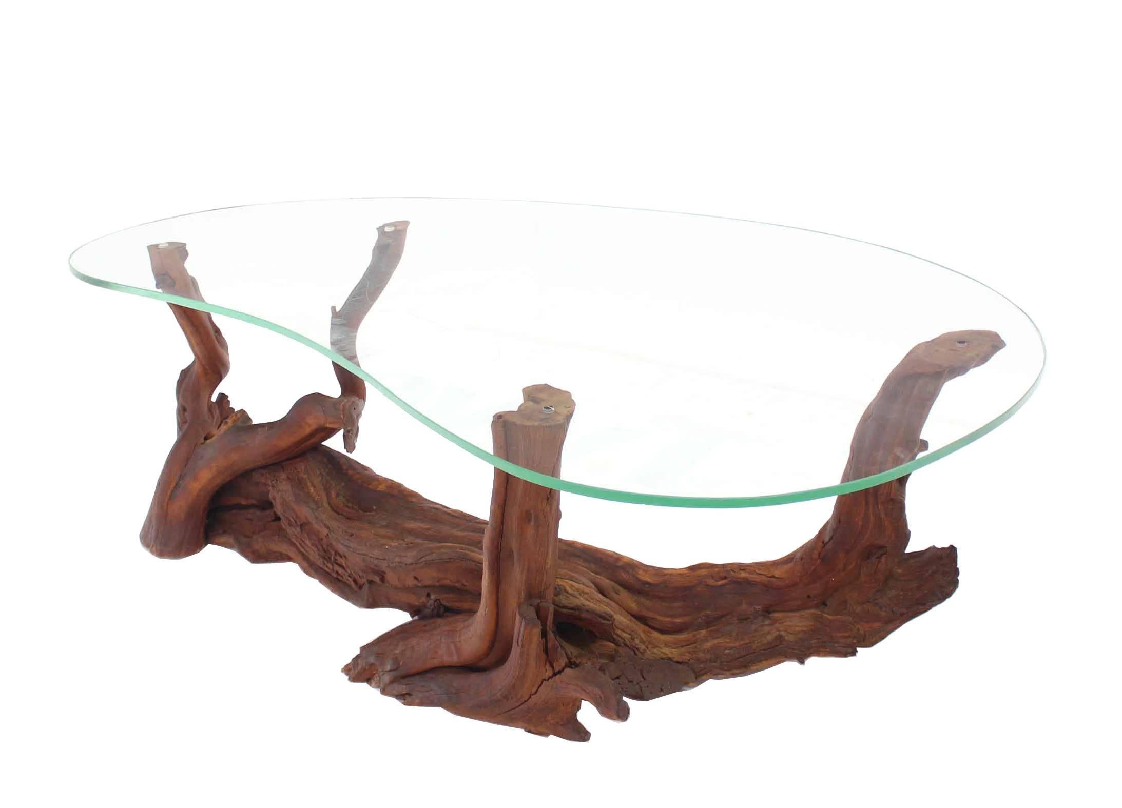 Biomorphic Kidney Shape Glass Top Drift Wood Base Coffee Table In Excellent Condition In Rockaway, NJ