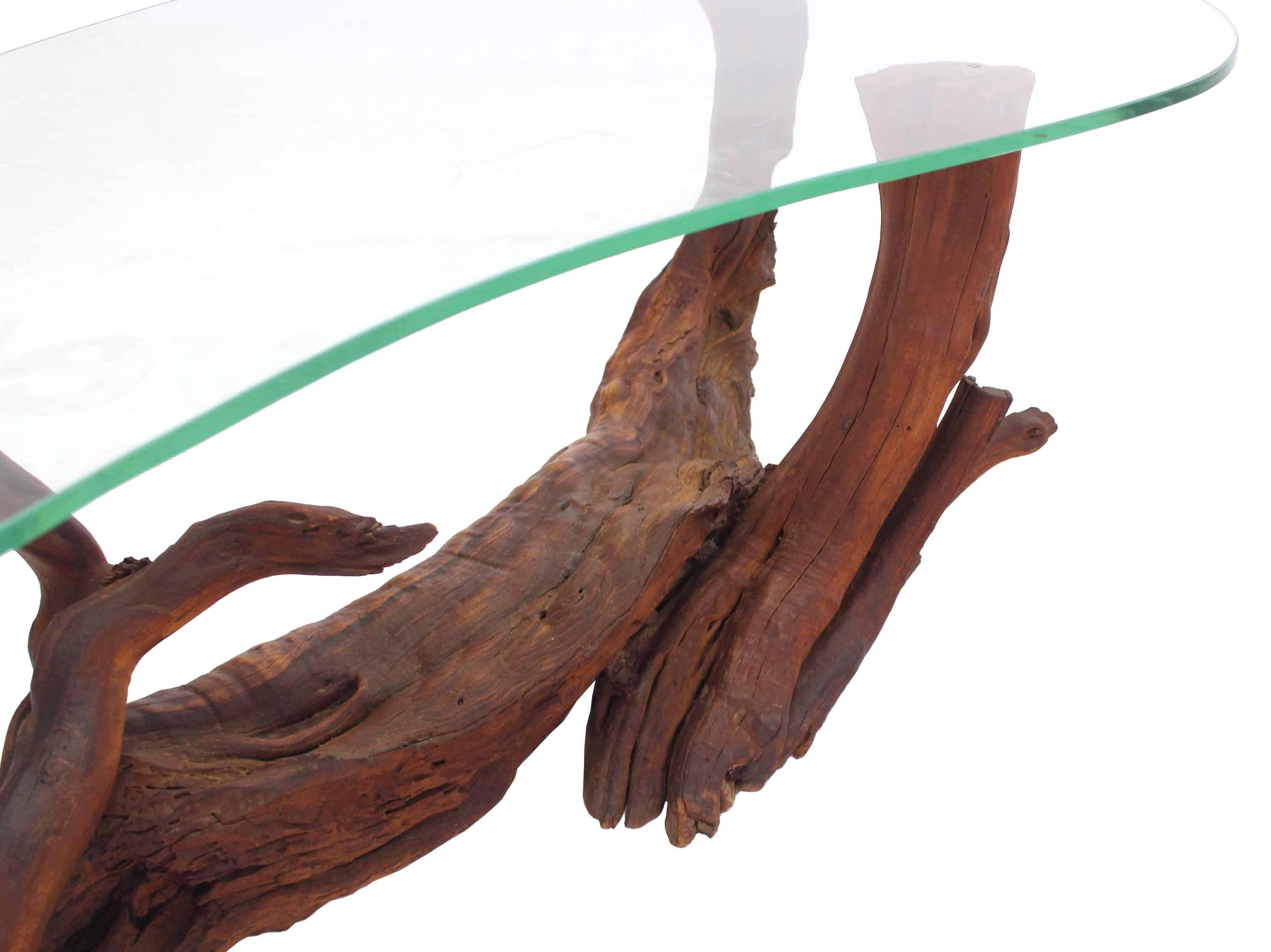 20th Century Biomorphic Kidney Shape Glass Top Drift Wood Base Coffee Table