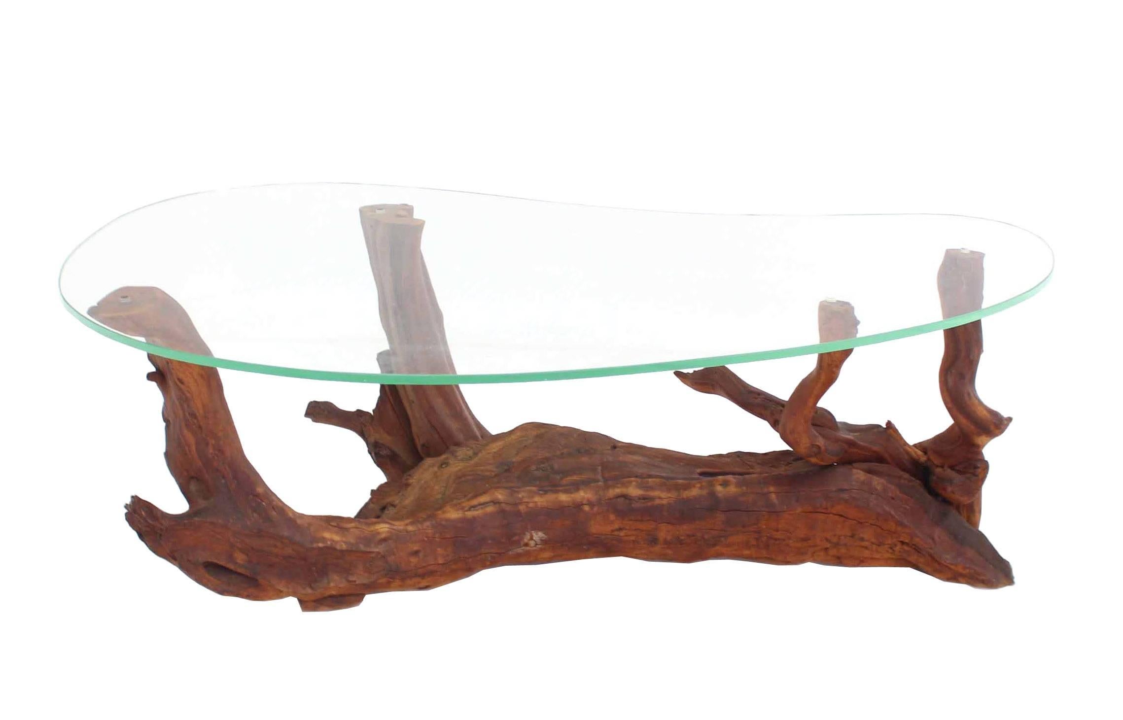 Biomorphic Kidney Shape Glass Top Drift Wood Base Coffee Table 2