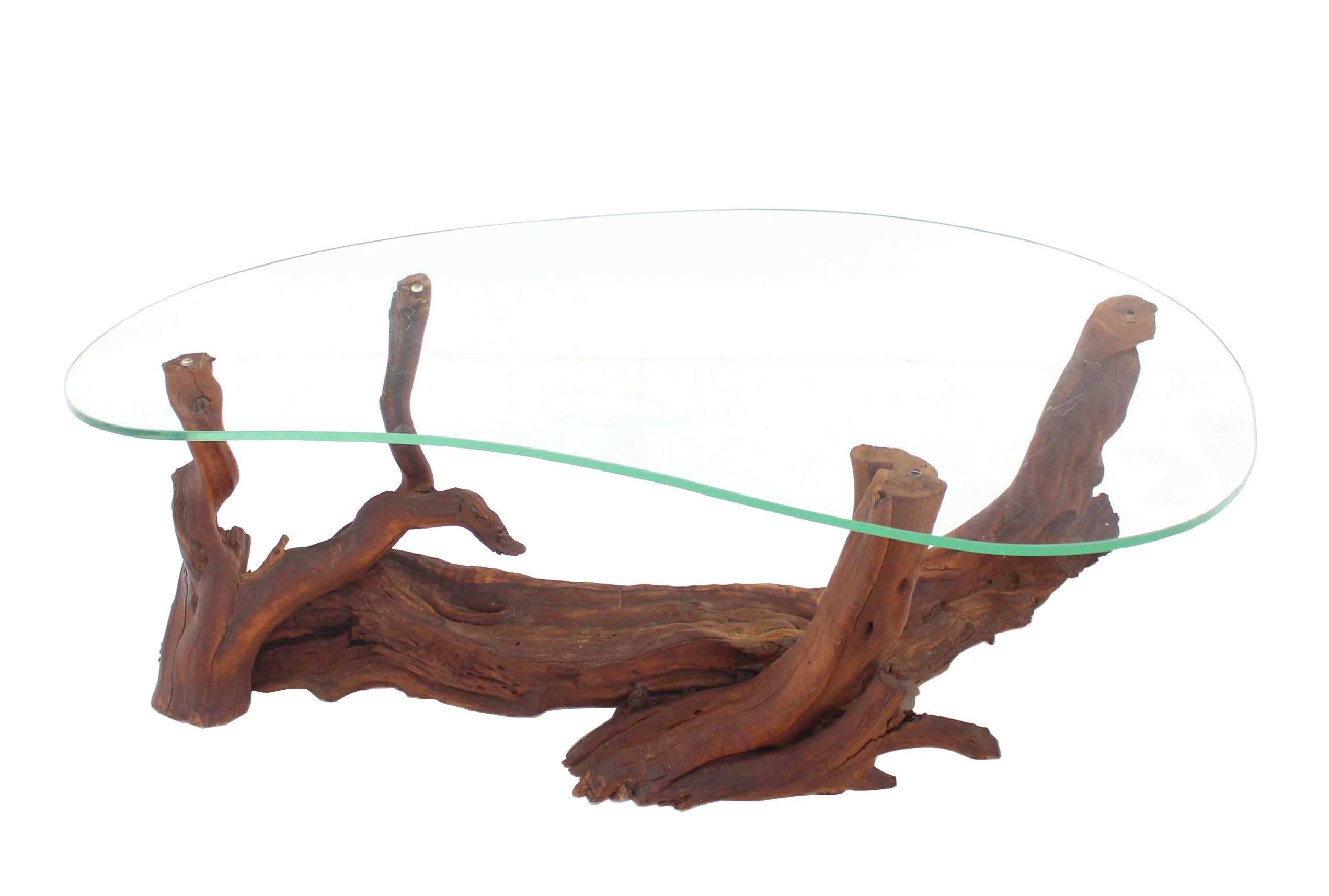 Biomorphic Kidney Shape Glass Top Drift Wood Base Coffee Table 4