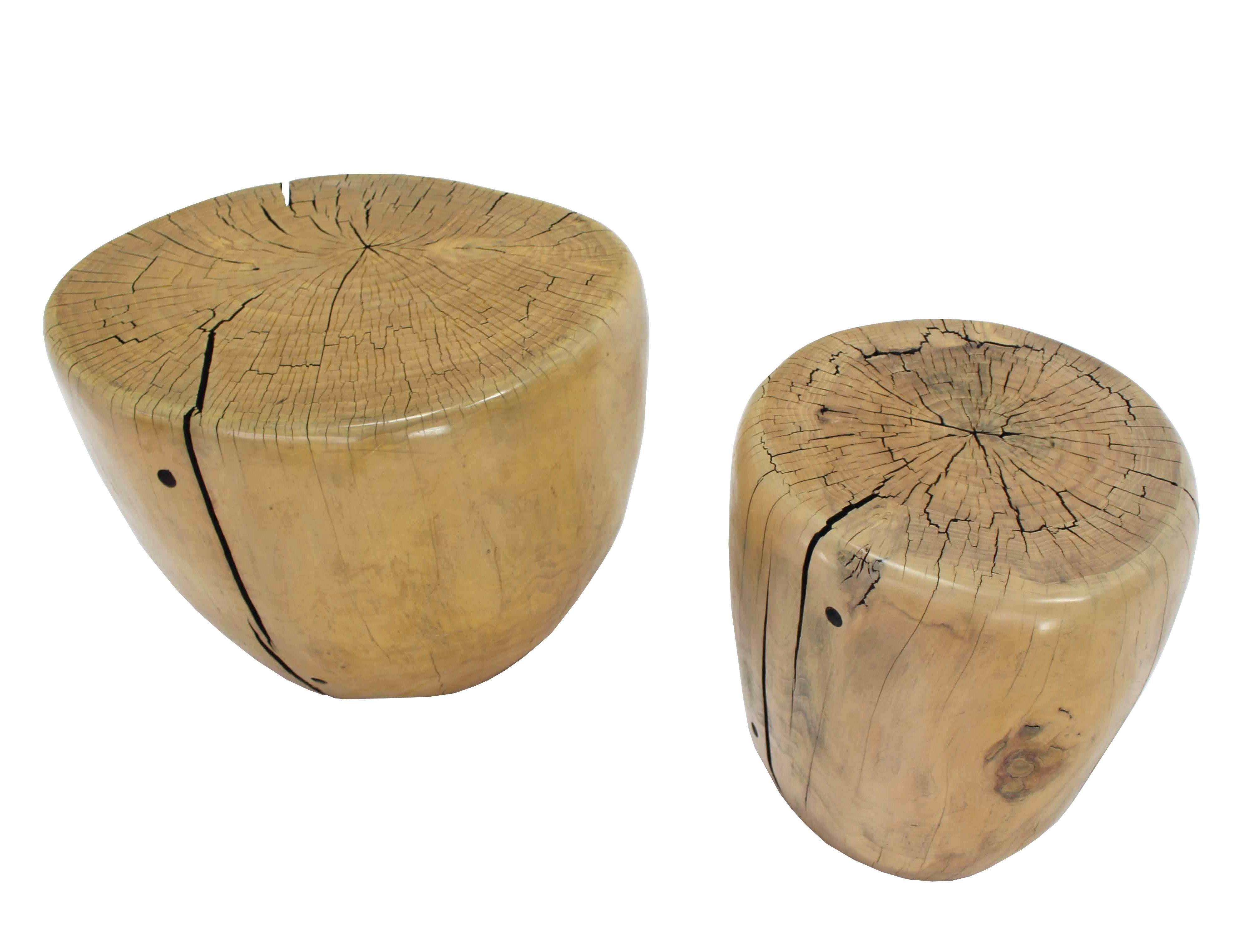 Pair of Round Natural Specimen Wood Side Tables In Excellent Condition In Rockaway, NJ