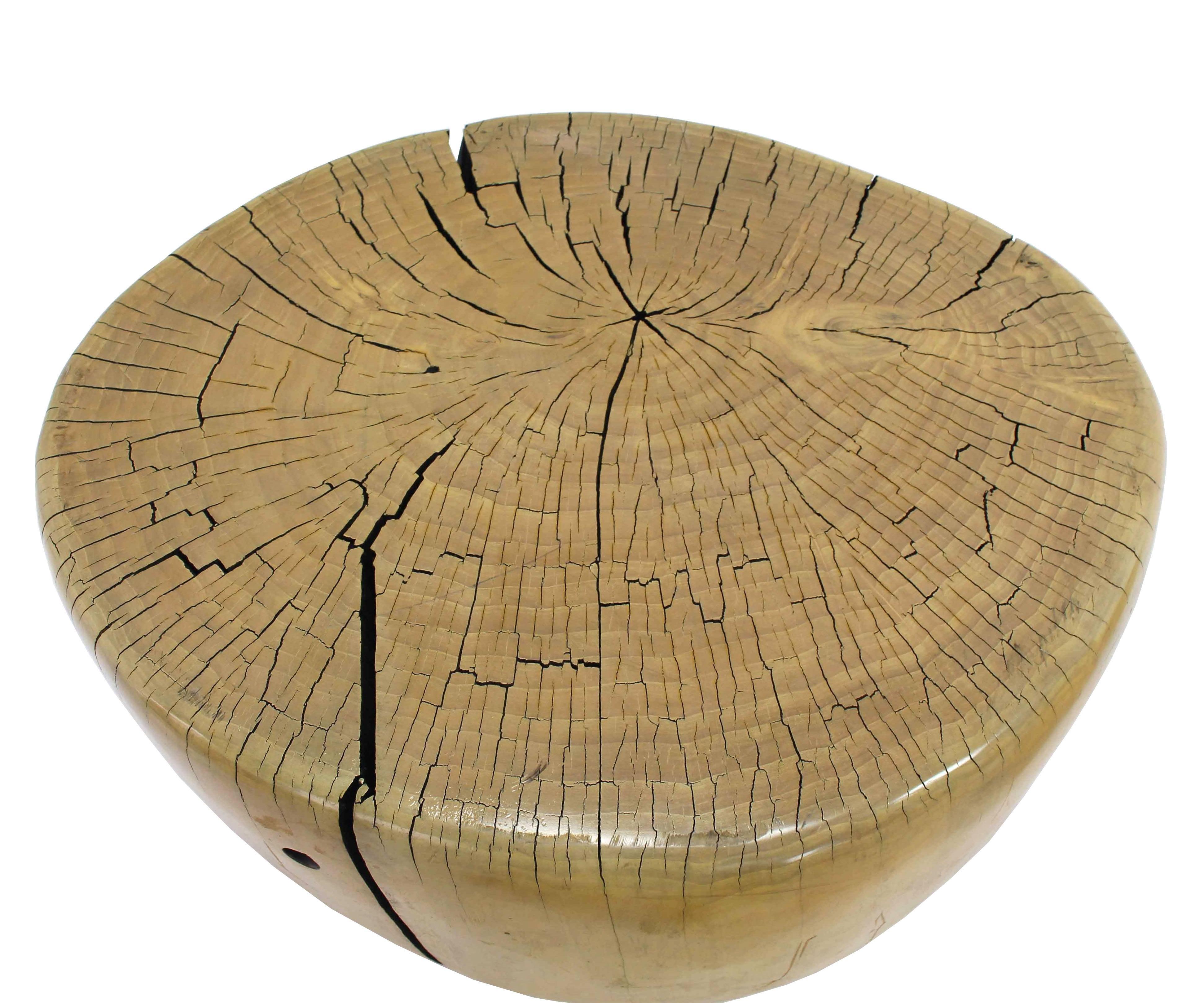 Hardwood Pair of Round Natural Specimen Wood Side Tables