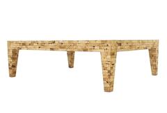 Large Rectangle Faux Egg Shell Coffee Table