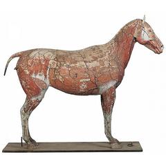 Dr. Auzoux’s Historic Full Sized Horse Model 7