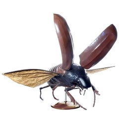 Large Early Anatomical Model of a Flying Beetle