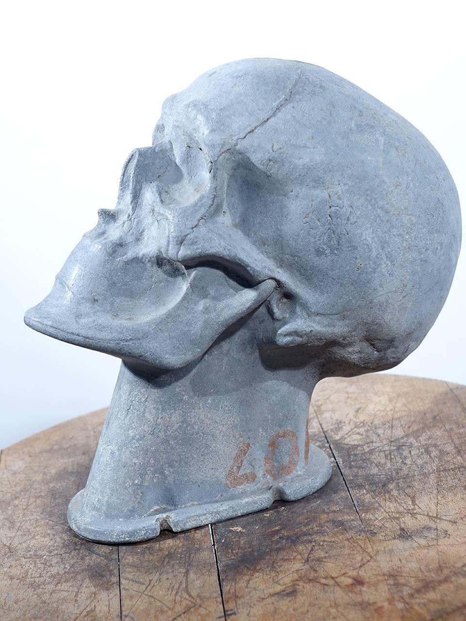 Industrial Important 1920s Medical Artist Model