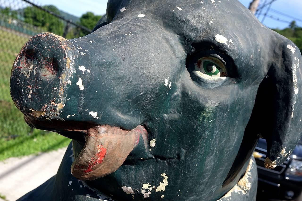 Truffle Pig, Large Articulated 1800s French Trade Stimulator In Excellent Condition In Peekskill, NY